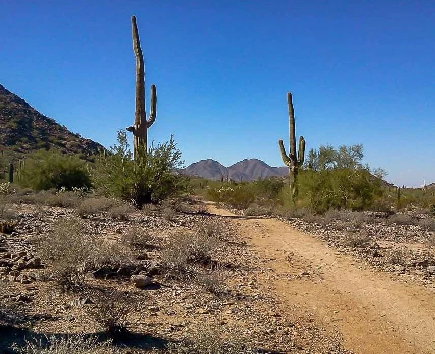 Why San Tan Valley Is One of the Most Interesting Places to Buy in the East Valley Right Now