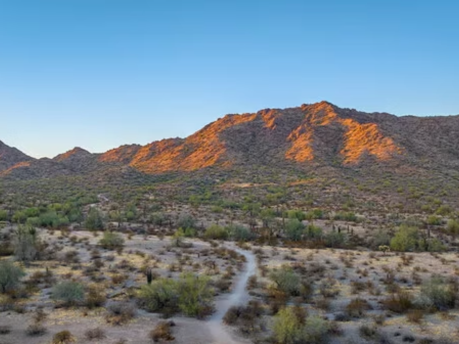 A dirt trail leads through a desert landscape with sparse bushes, towards rugged mountains bathed in orange sunlight under a clear blue sky.