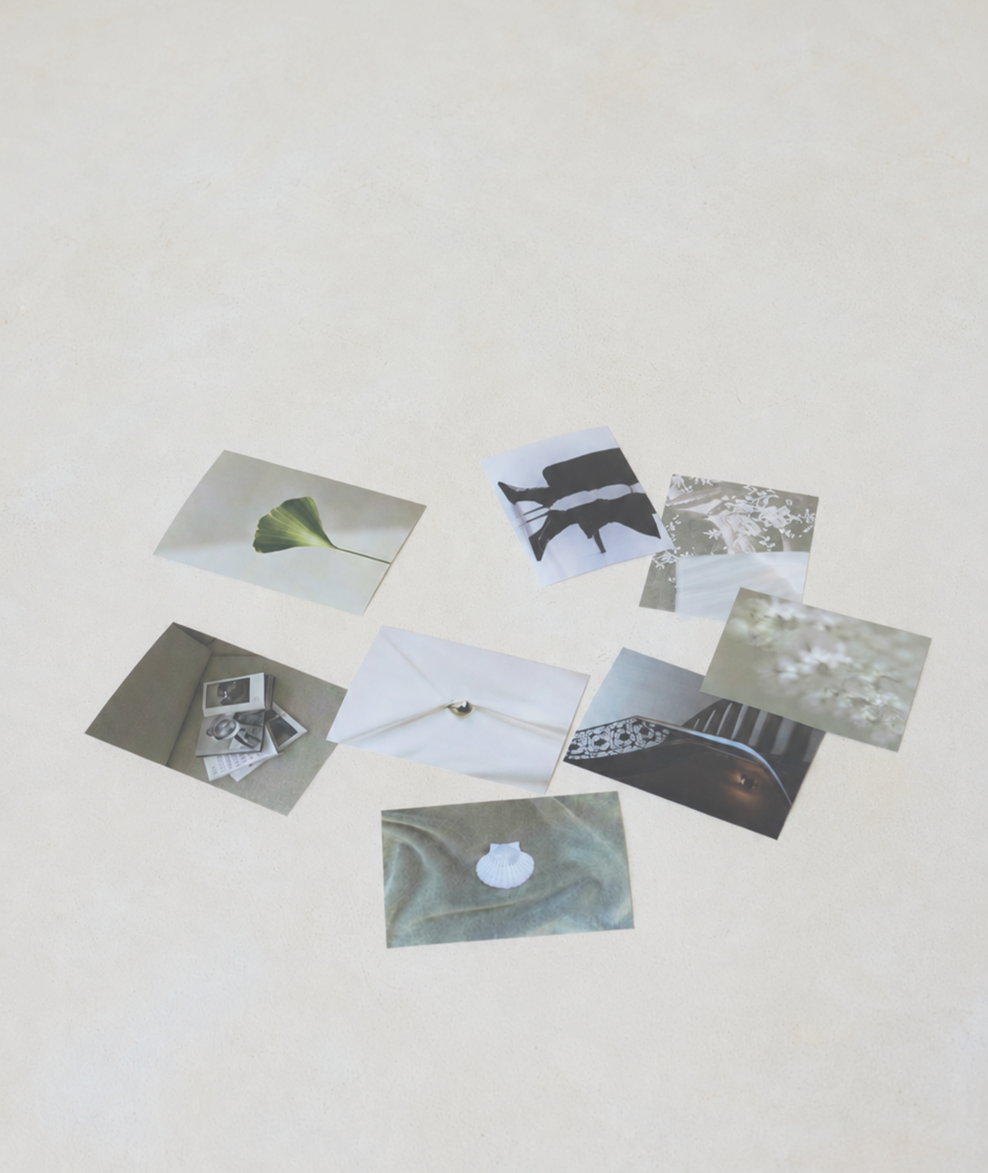 Editorial photographs arranged on a white surface.