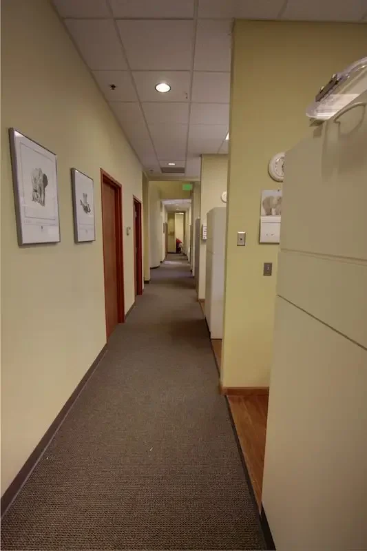 02-hallway_qance4b_migrated (1).webp