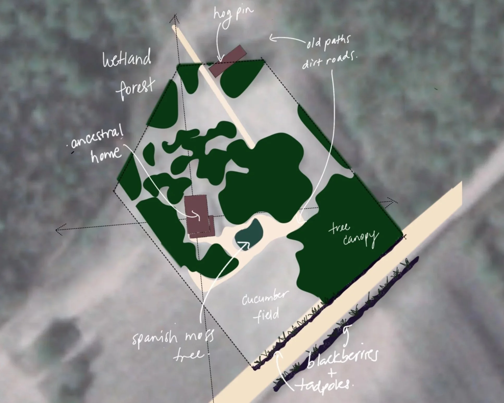 1983 aerial photo "heyday"