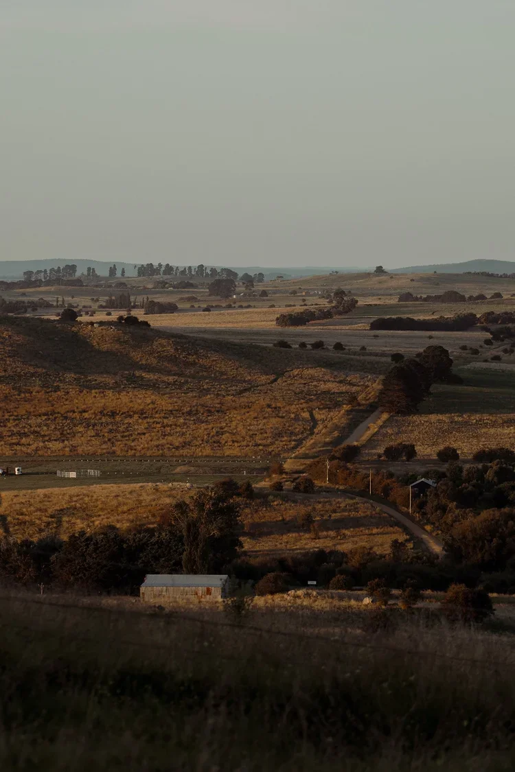 Braidwood_43.webp