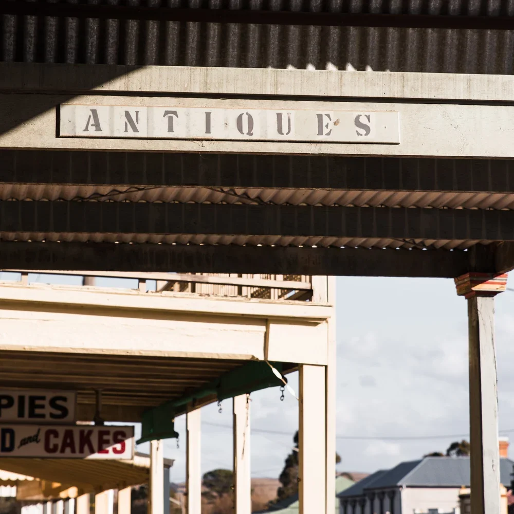 monafarm0818_braidwoodtown_klow_002.webp