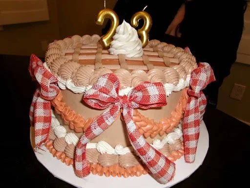 Decorated birthday cake with pink and white icing, roses, a checkered red and white ribbon, a dollop of whipped cream with two gold candles numbered 2 and 3 on top.