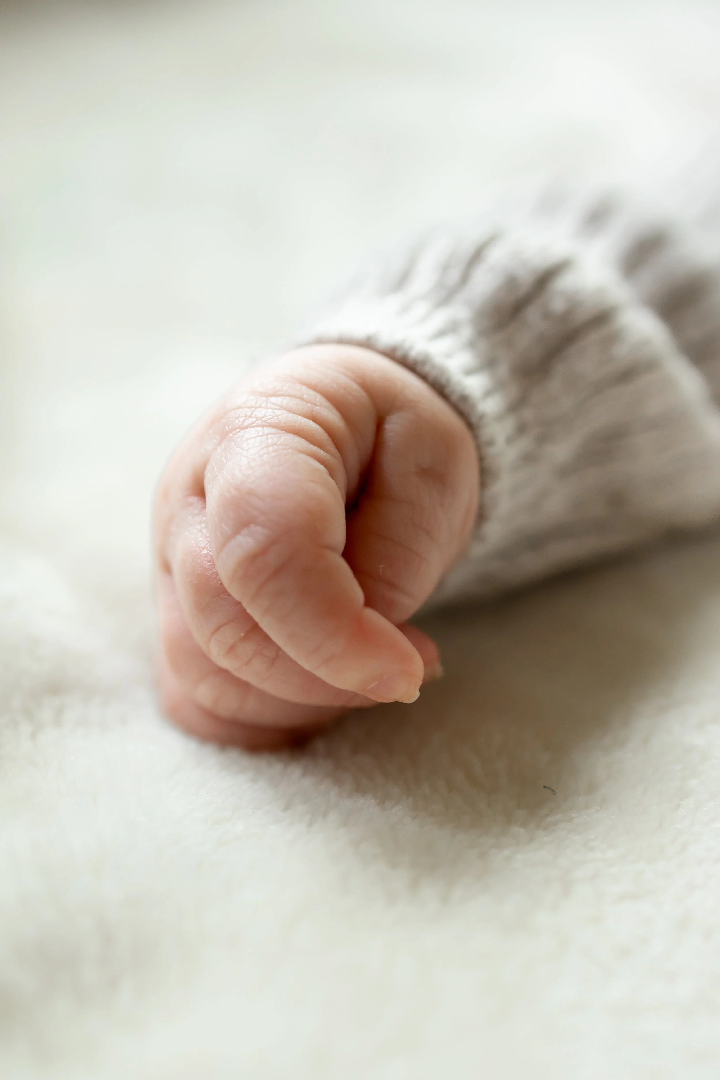 Newborn Portraits