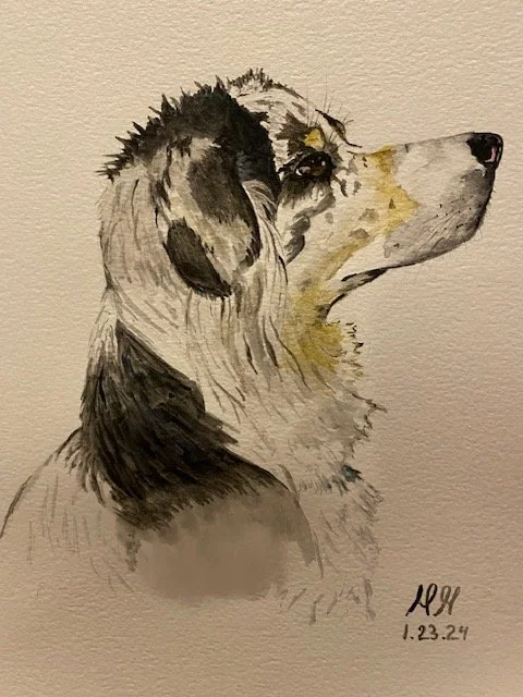 Lost Dog