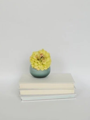 A small potted yellow flower on a stack of white books against a plain white background.