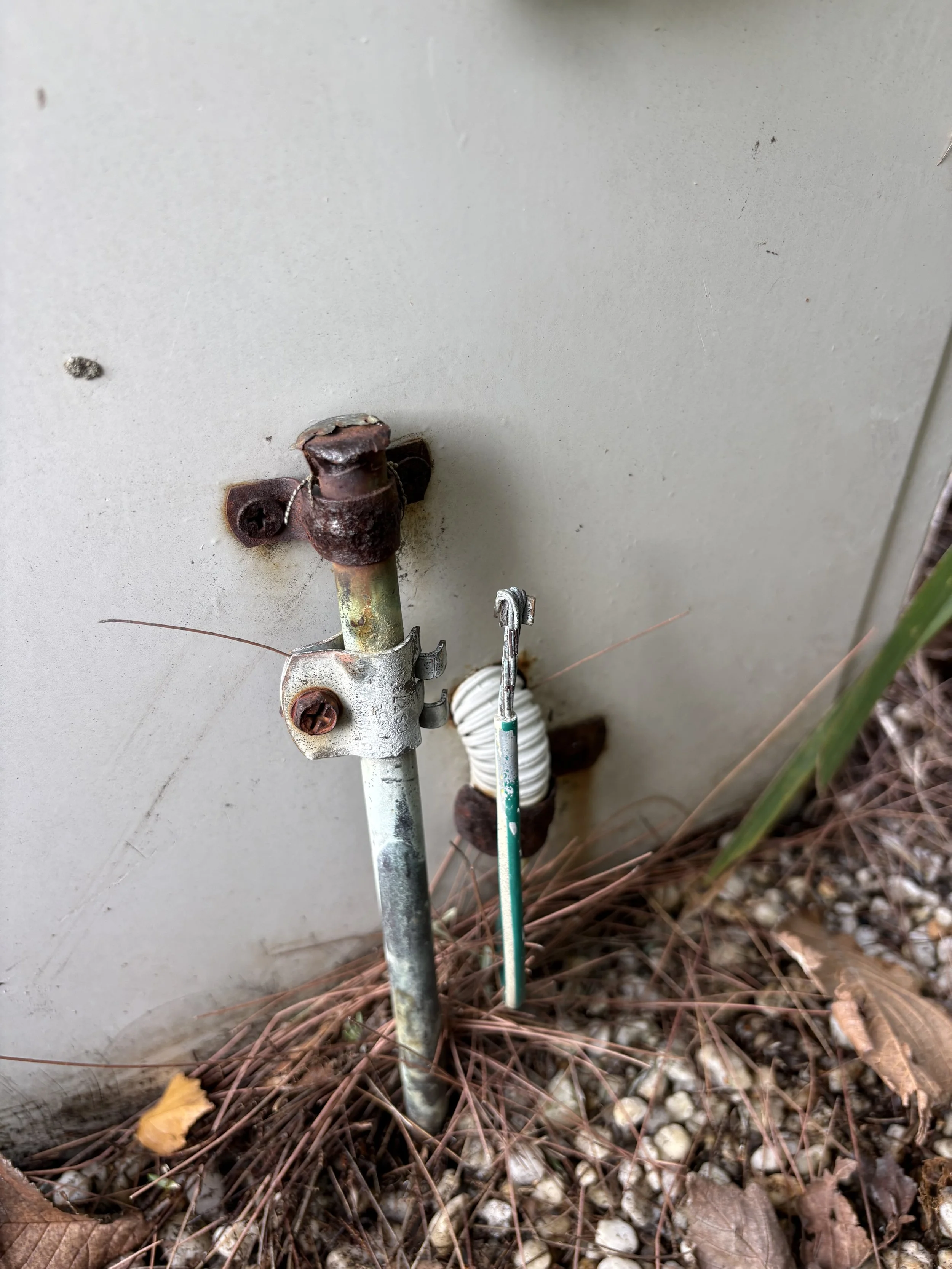 Close-up of a rusty outdoor water spigot attached to a metal pipe, with a flexible white garden hose connected to it, mounted on a gray wall. The ground beneath is covered with pine needles, leaves, and small pebbles.