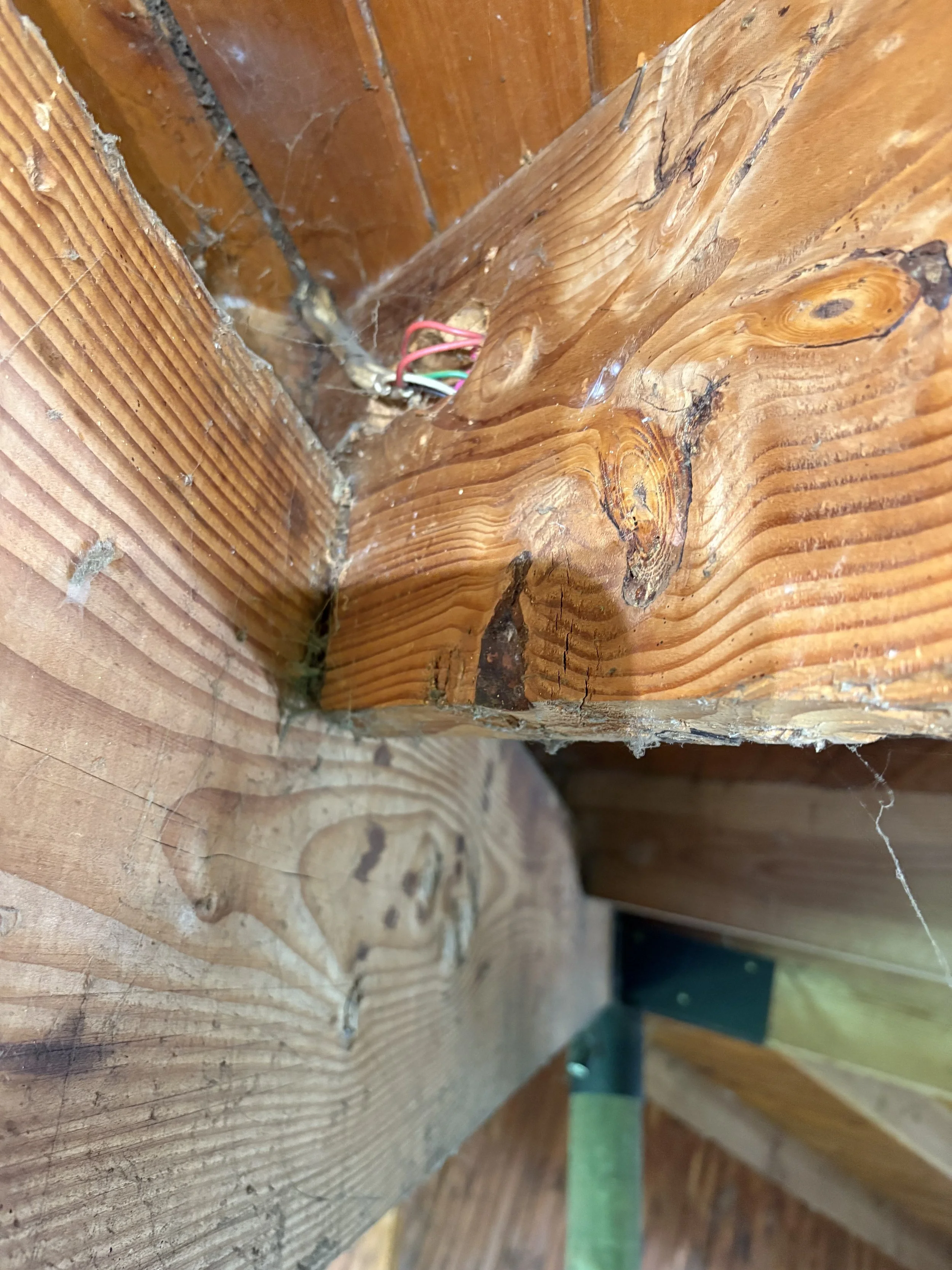 Close-up photo of a knot in a wooden beam with some exposed wiring and cobwebs.