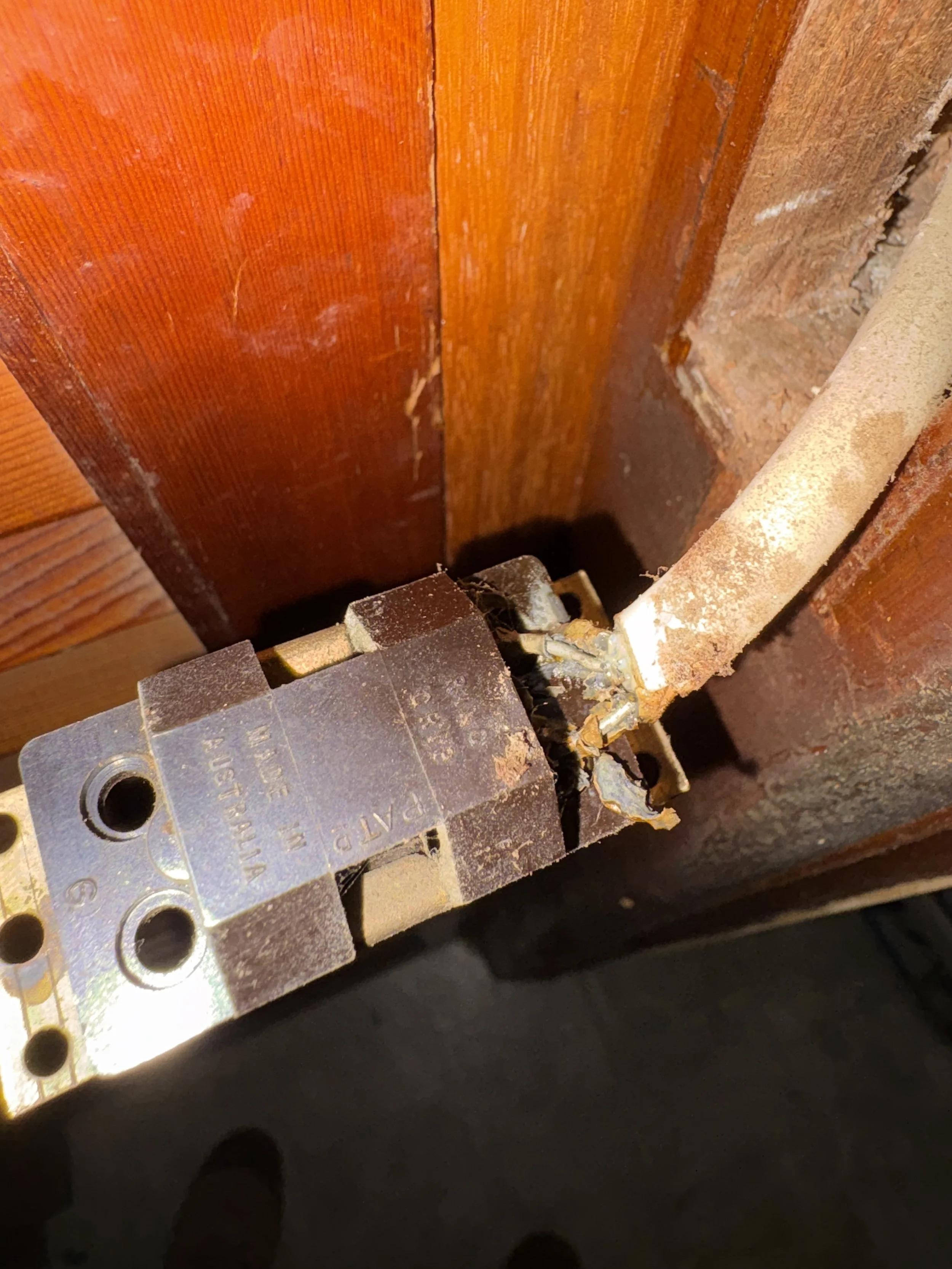 Close-up of a rusty metal hinge attached to a wooden door or panel, with screws visible and some rust corrosion present.