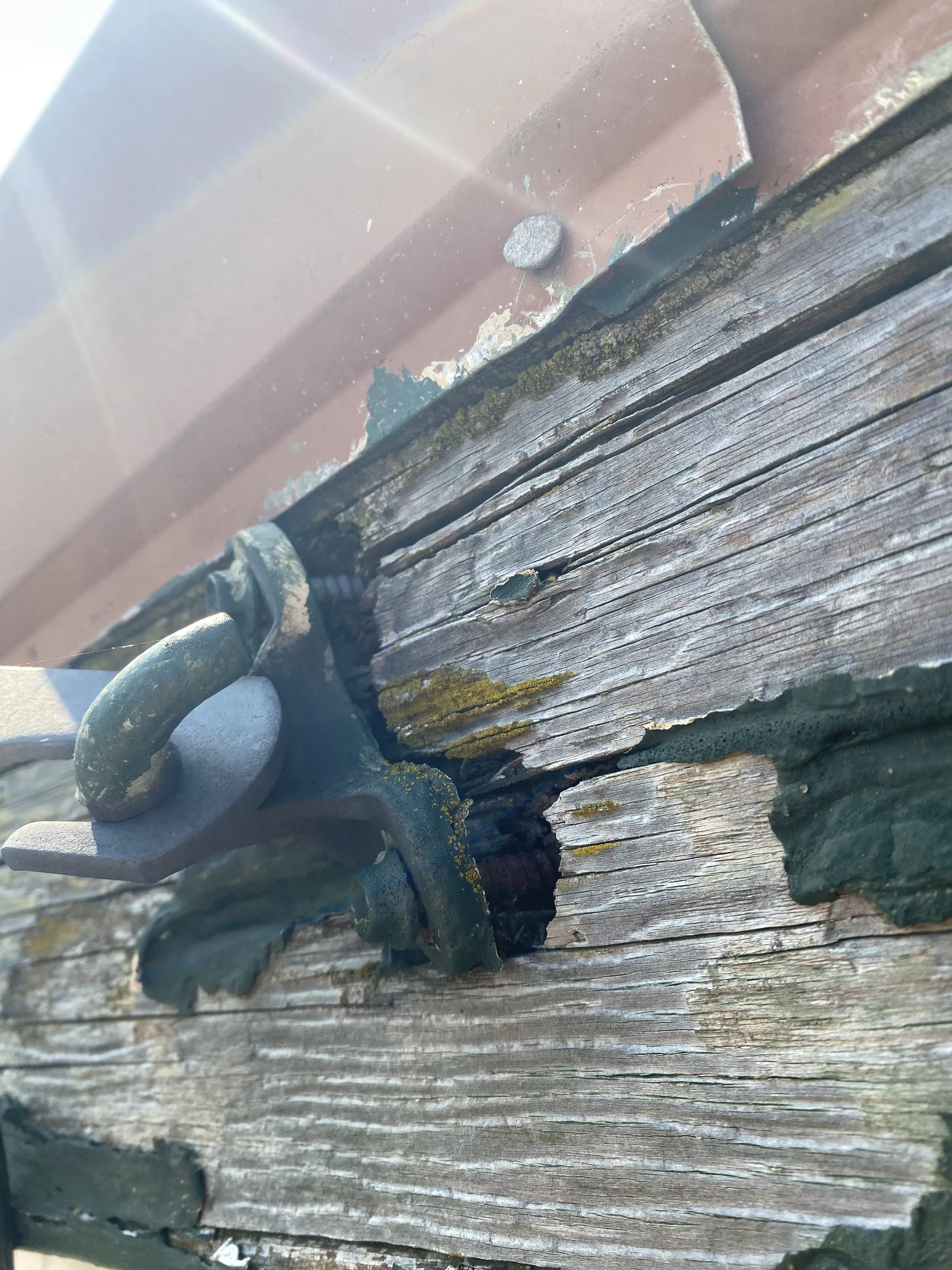 Close-up photo of a rusty, weathered wooden surface with a metal hook attached by a nail and some yellowish moss or lichen growing on the wood.