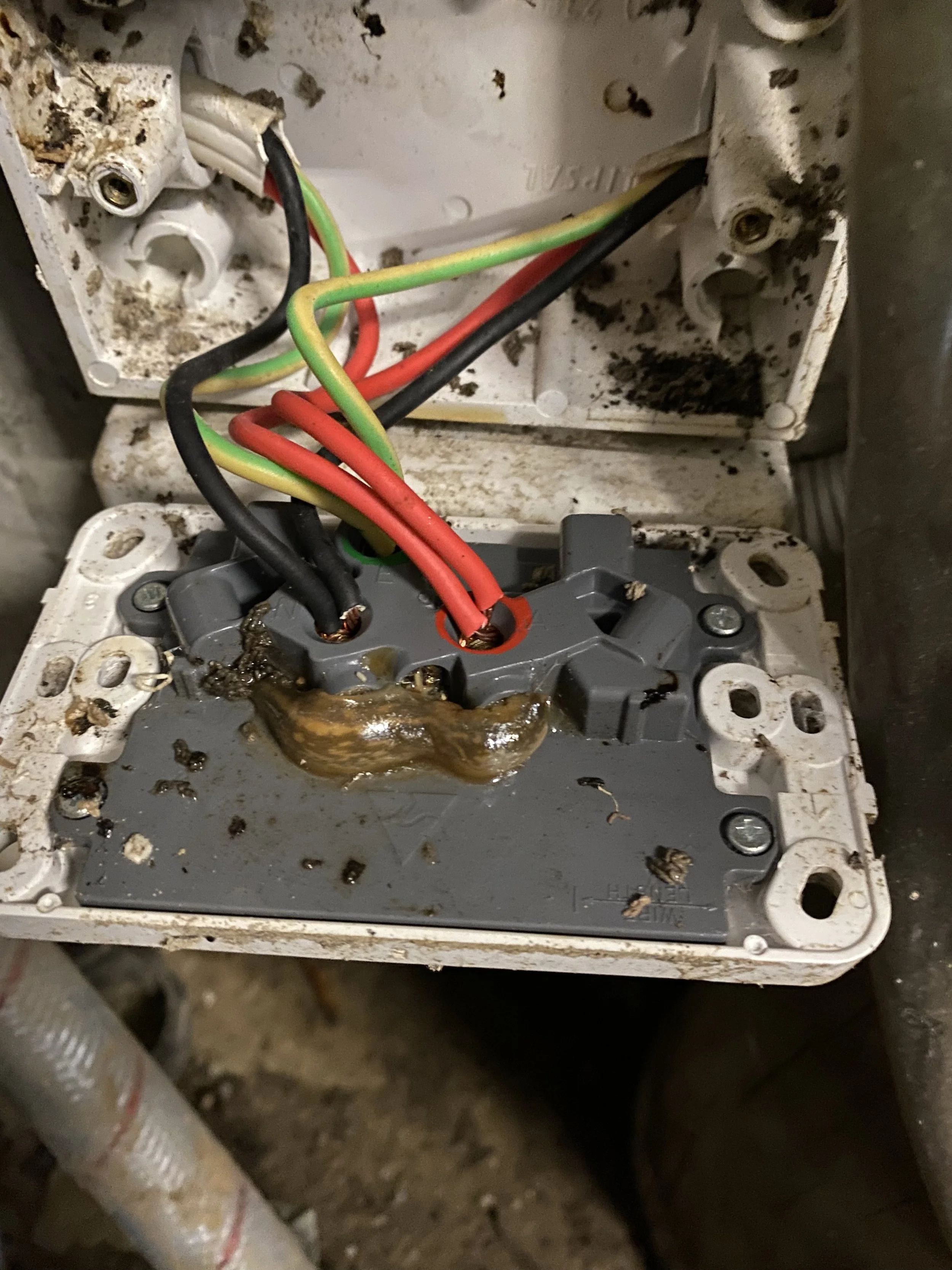 An electrical box with some wires and dust inside, showing signs of dirt and possible short circuit.