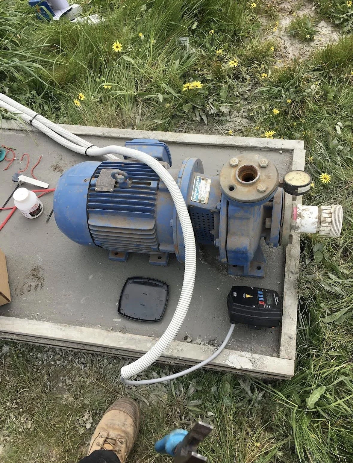 A blue water pump or motor set up outdoors on a concrete platform, surrounded by grass and yellow wildflowers.
