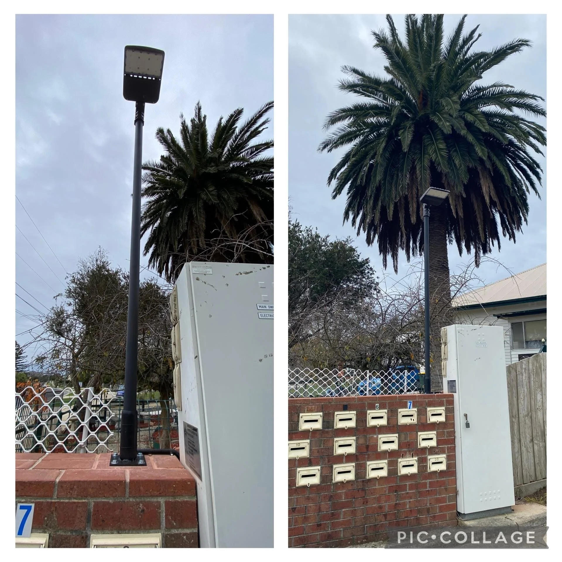 Comparison of a streetlamp and palm trees, with mailboxes on a brick wall, and an electrical box in front of the trees.