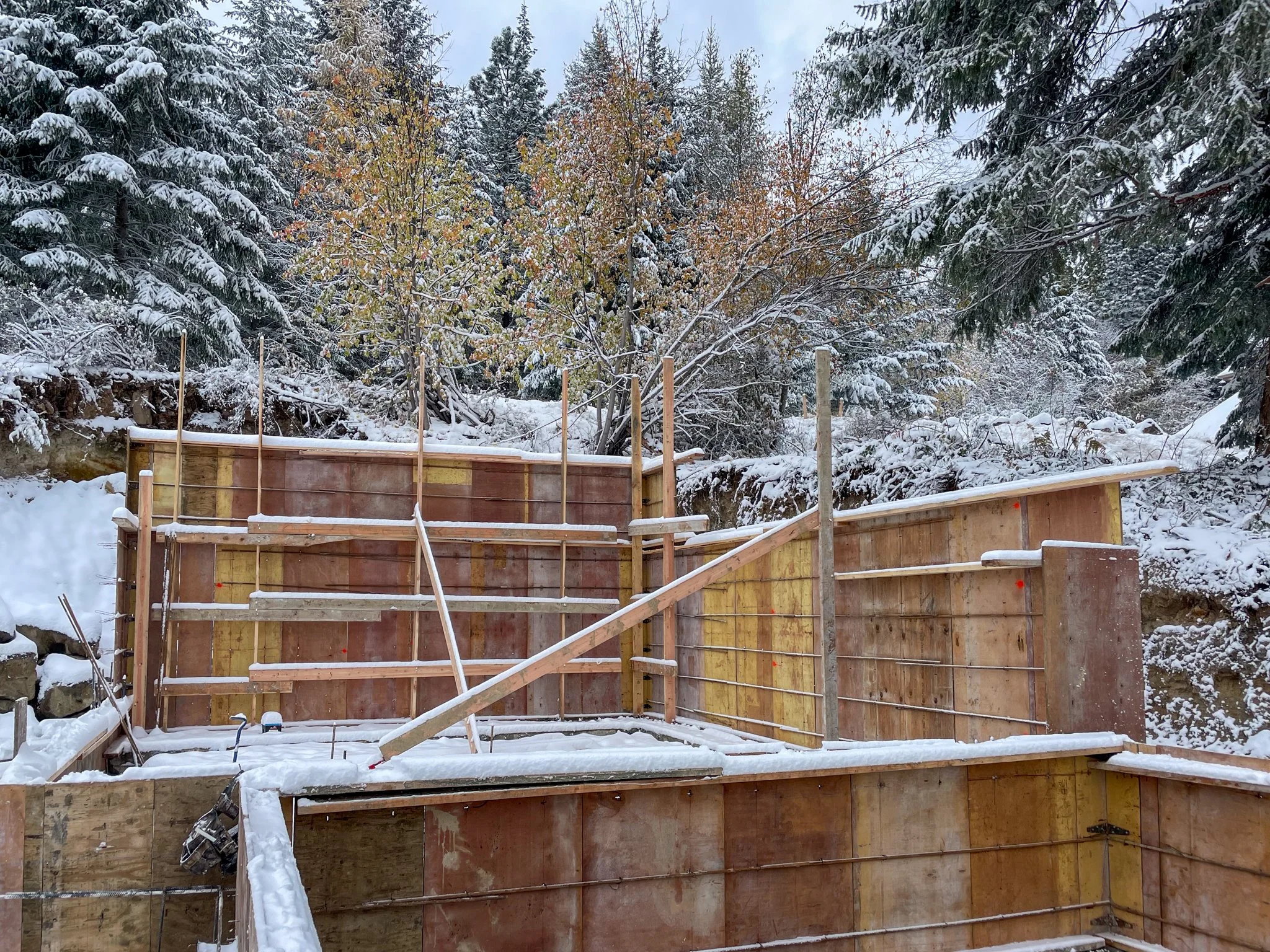 Snow-covered forest with a partially built wooden structure in the foreground.