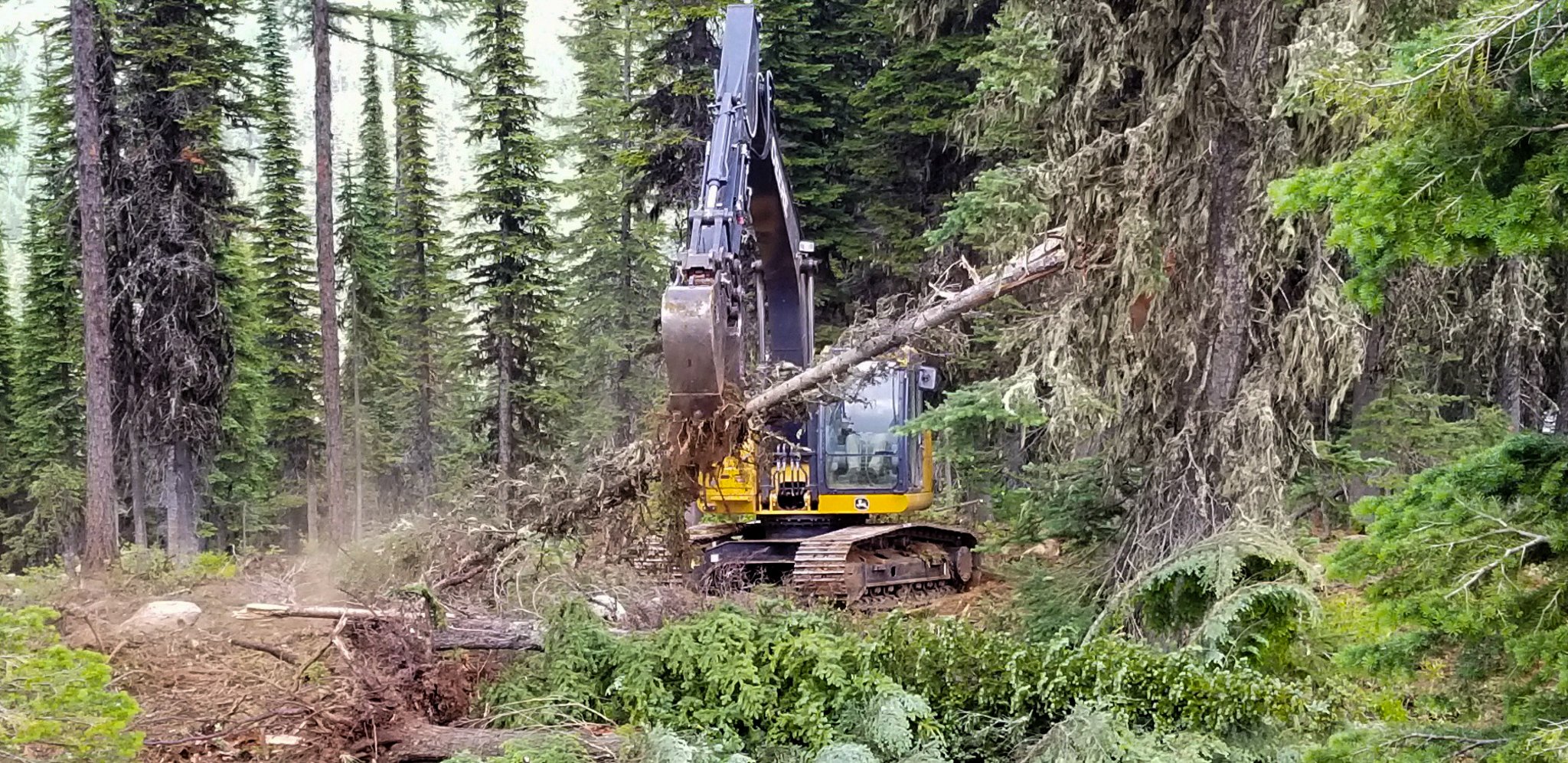 Northwest BuildCore clearing trees and brush for a job site on a parcel in North Idaho.
