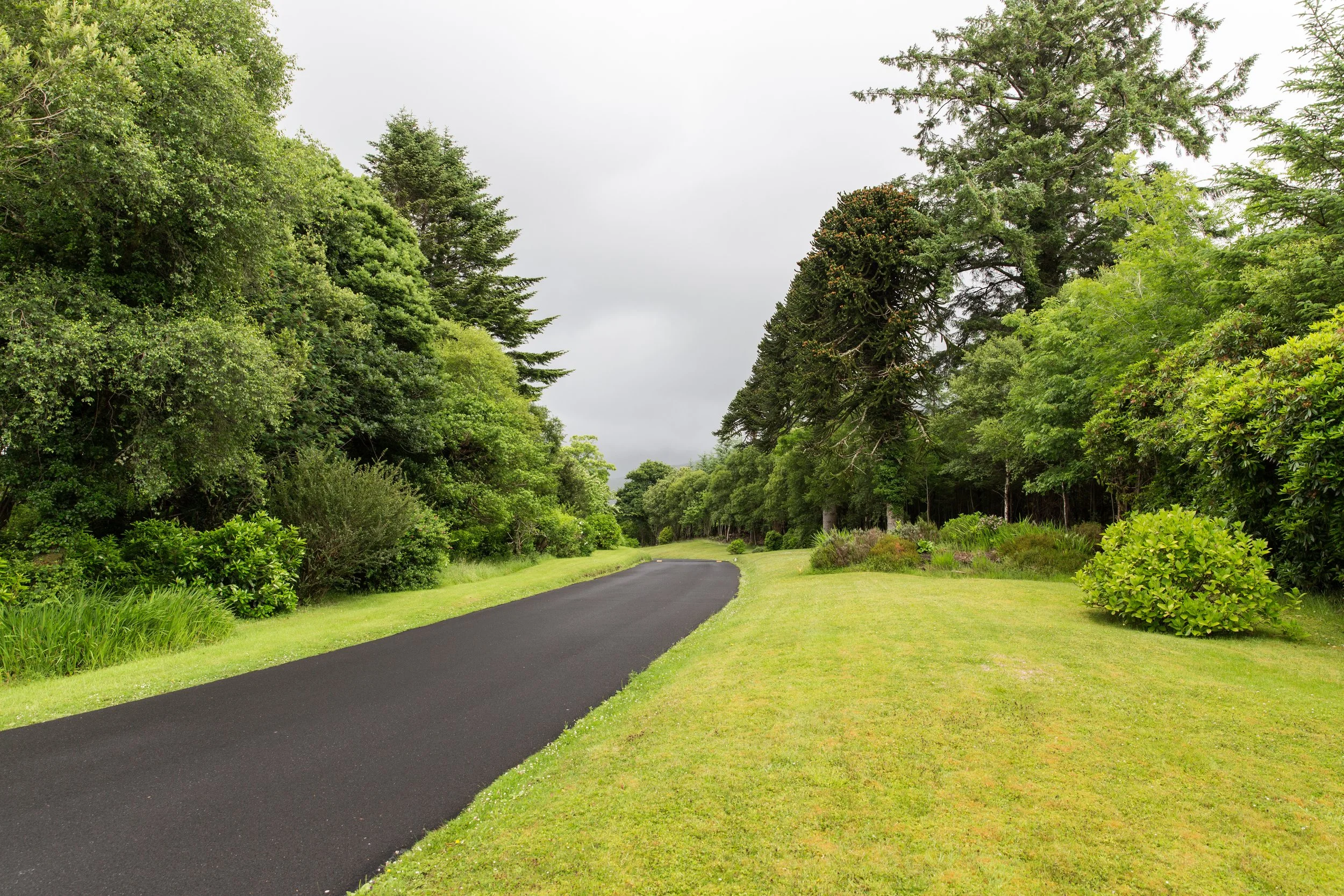 Asphalt driveway finished attractively in a well-manicured landscape.