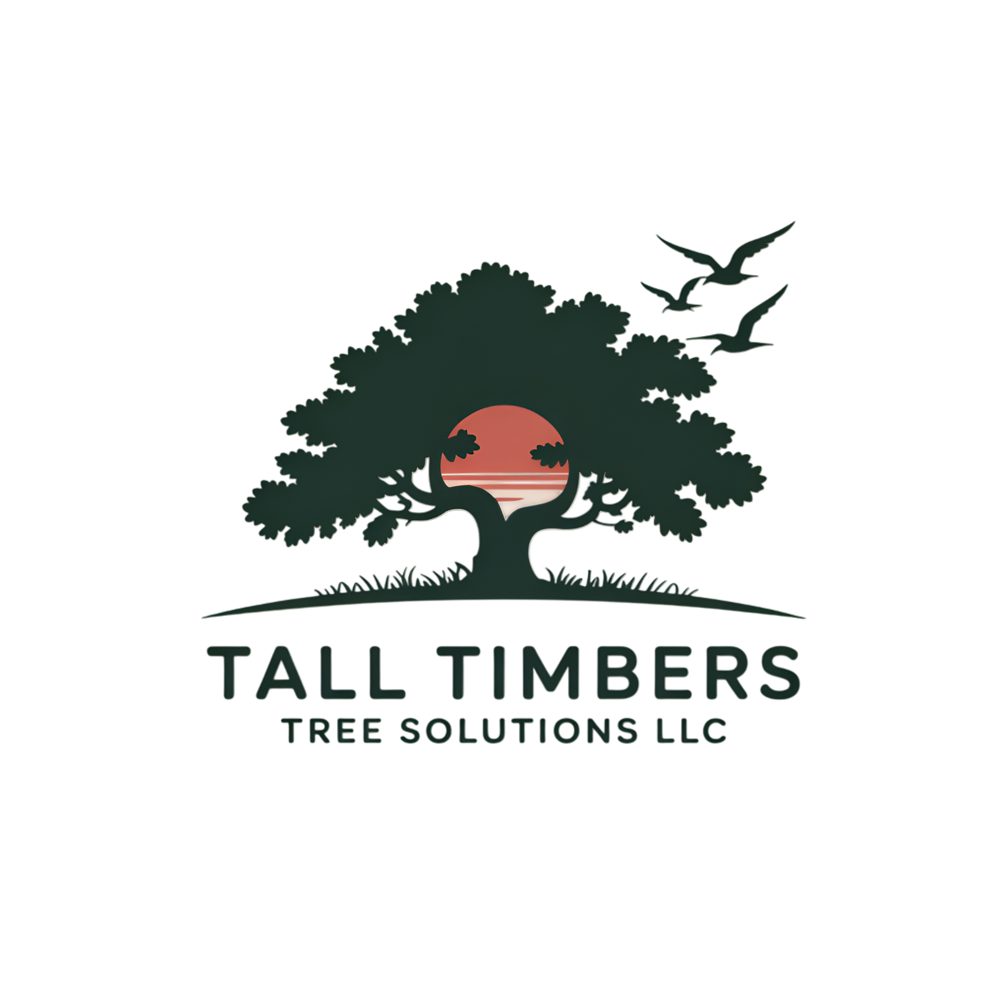 Logo for Tap Movers, Tree Solutions, featuring a stylized tree with the sun setting behind it and the company name below.