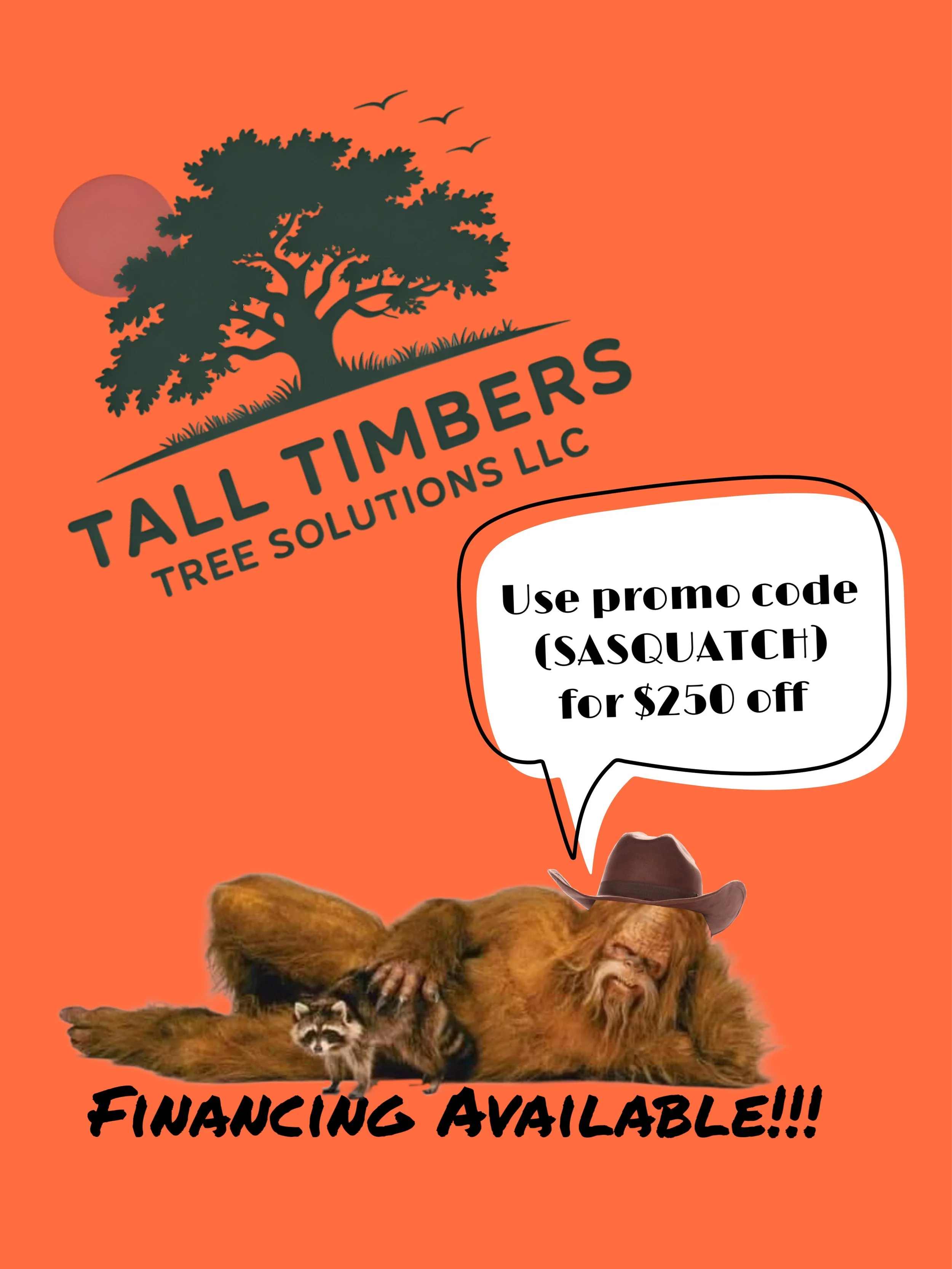 An illustrated advertisement featuring a bear wearing a cowboy hat, lying on a log with a raccoon sitting next to it. Behind them, there is a speech bubble with promotional text about financing options, and a large tree with birds flying in the background. The background color is orange, and there is a logo for Tall Timbers Tree Solutions LLC with a sunset and tree silhouette.