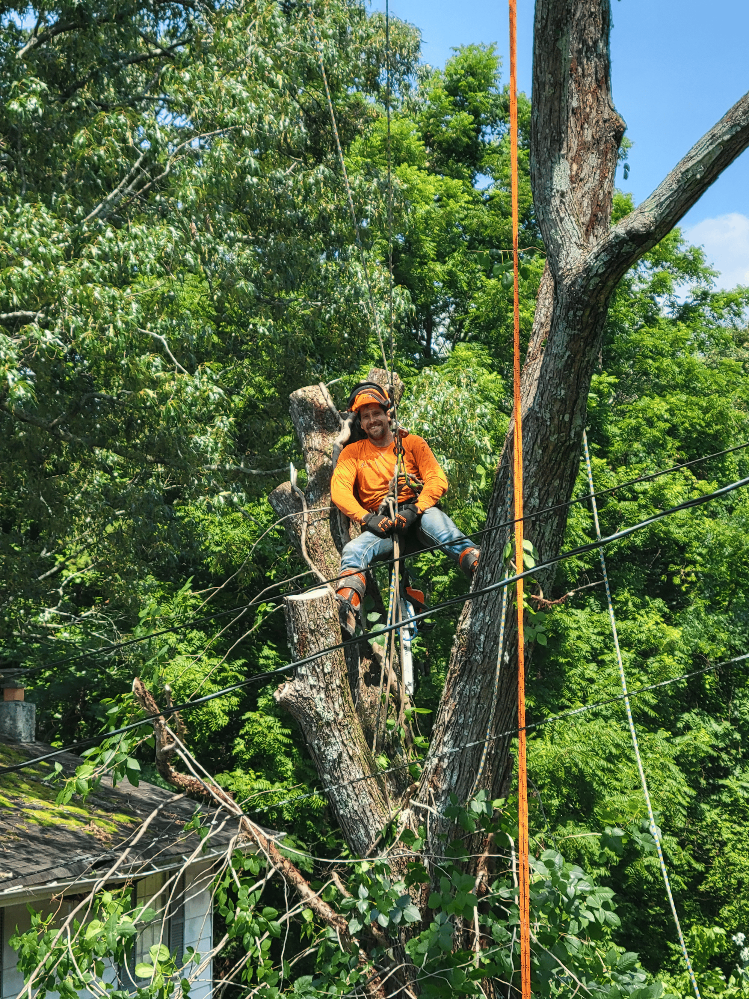 Justin Shultz wearing an orange shirt, glasses, and a helmet is sitting on a tree branch among green trees and leaves, with a blue sky in the background.