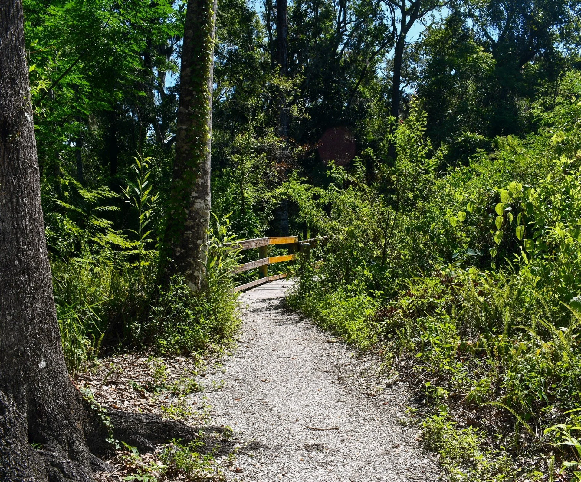 Morning at Moccasin Lake Nature Park