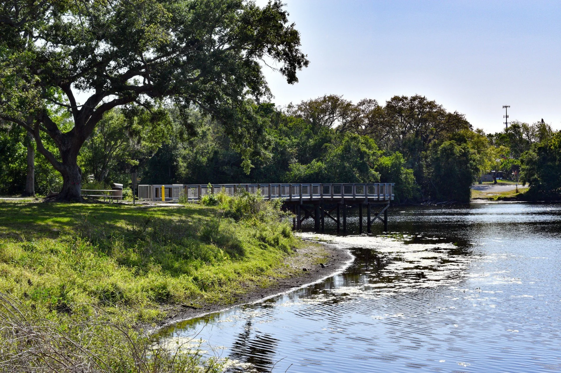 A wooden observation deck extending over the marsh at Kapok Park, surrounded by trees and water under a bright sky.