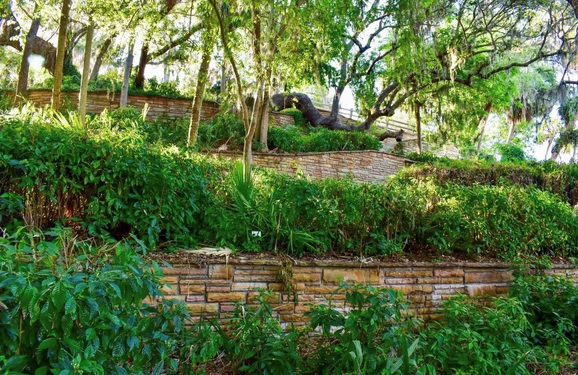 Lush green hillside garden with various plants, trees, and a curved brick retaining wall, with a large tree and a wooden fence in the background.