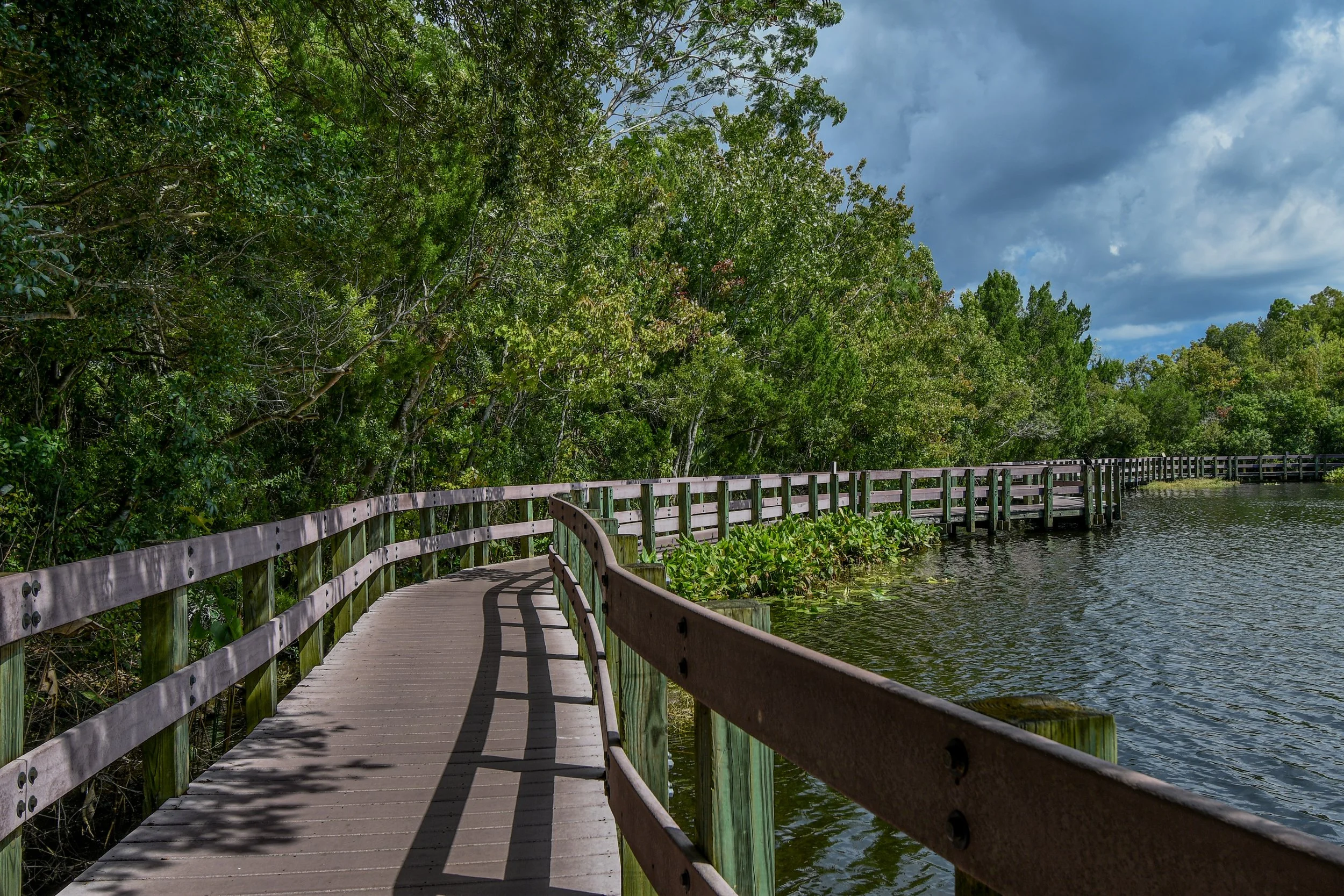 boardwalk at largo central park nature preserve.