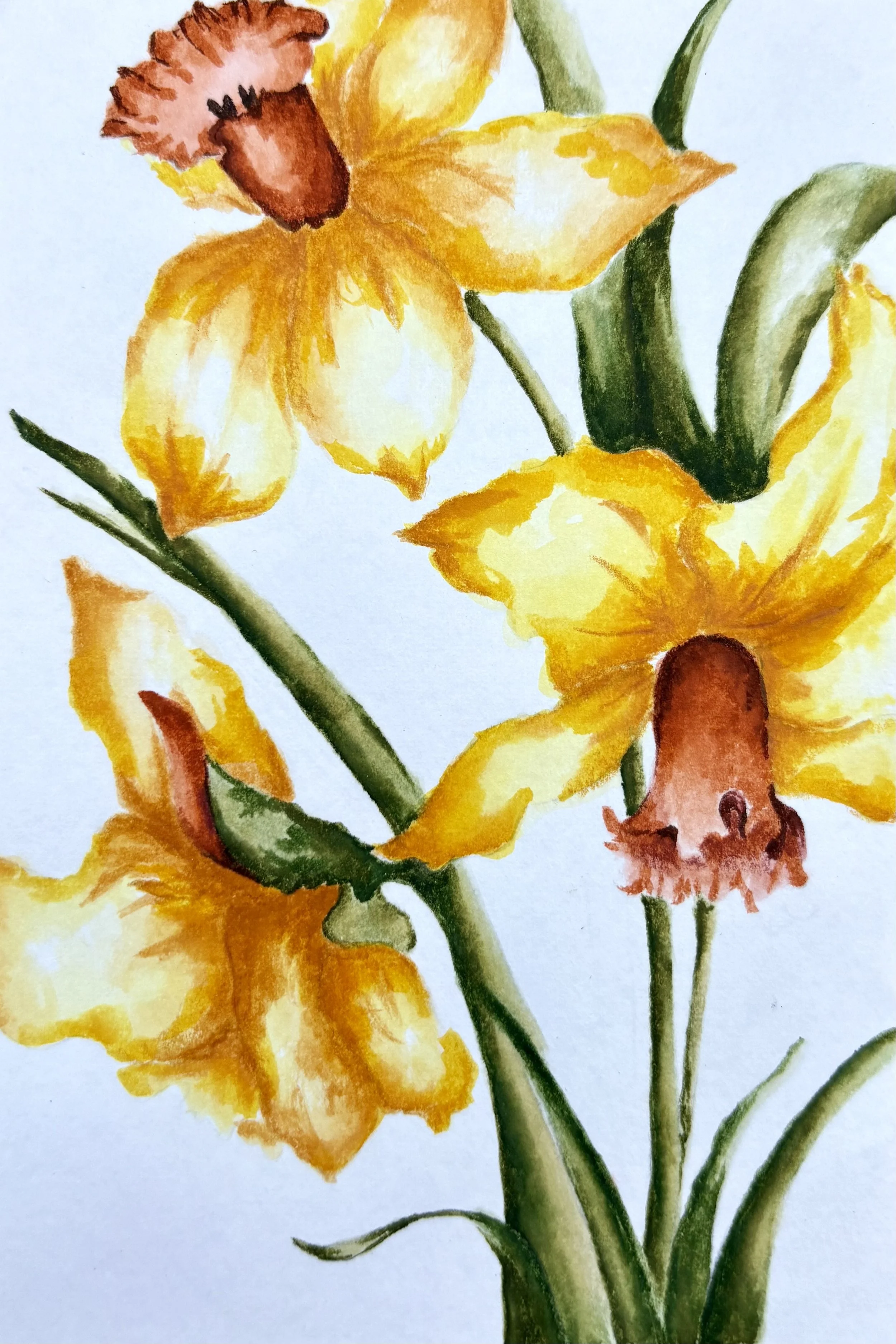 Watercolor
