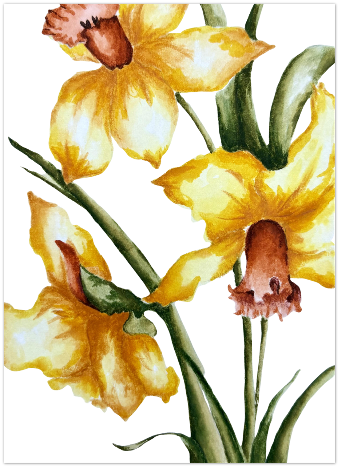 Watercolor