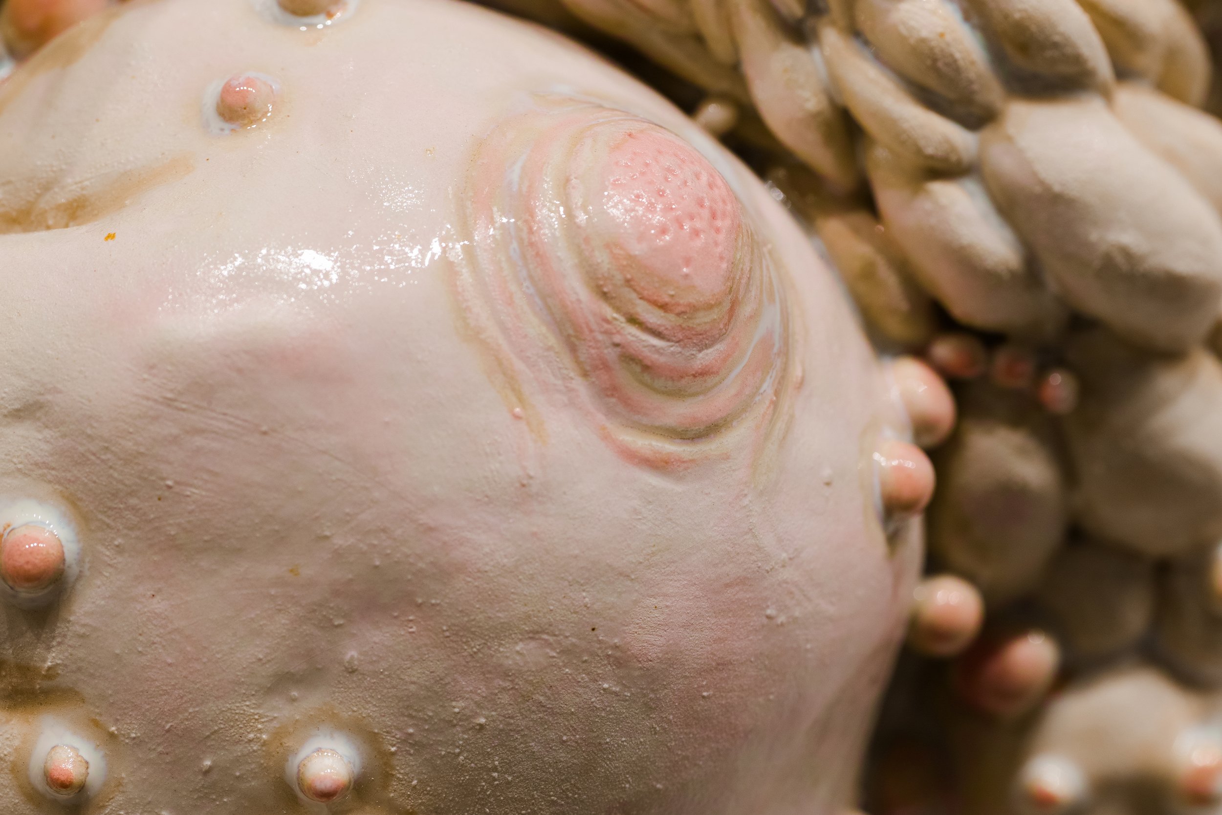 Close-up of a ceramic wall piece that mimicks bumpy diseased flesh surrounding a breast.