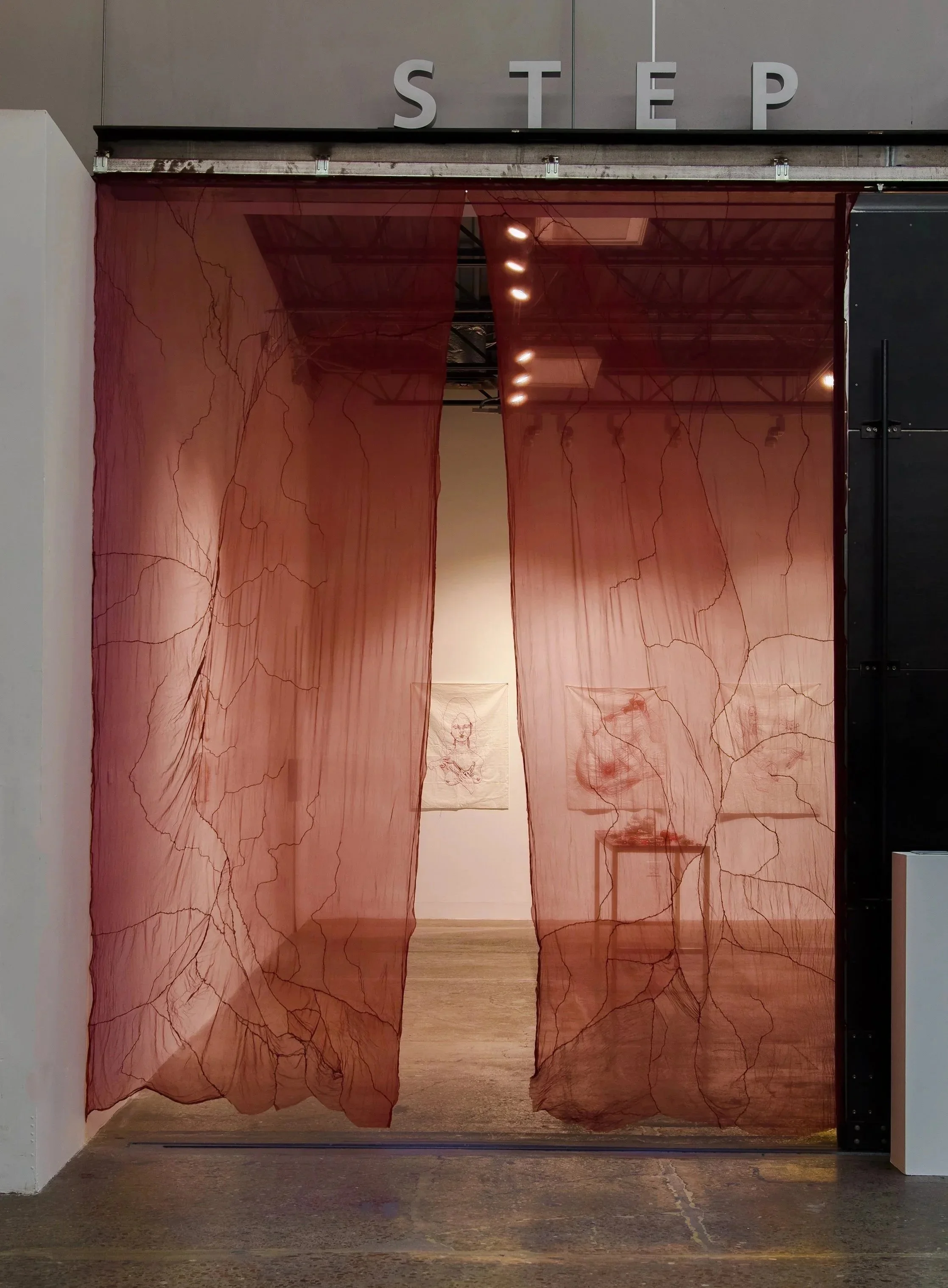 An art installation featuring red, sheer fabric panels with black vein-like patterns hanging in a gallery space.