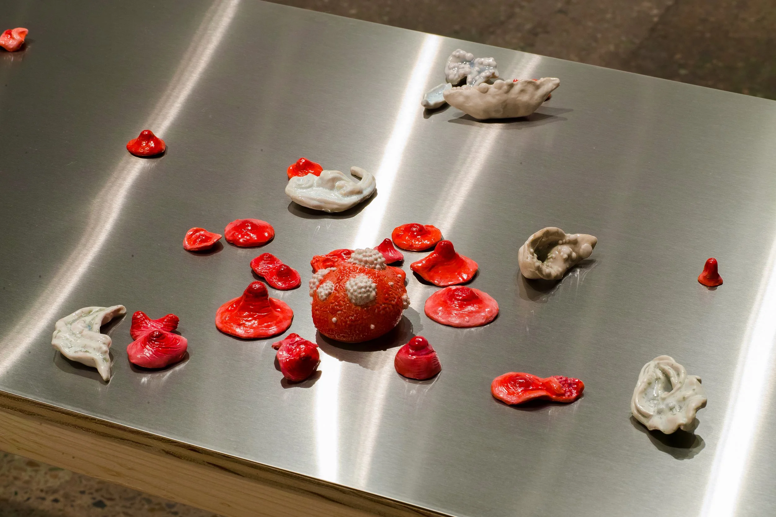 small ceramic artwork on reflective stainless steel surface