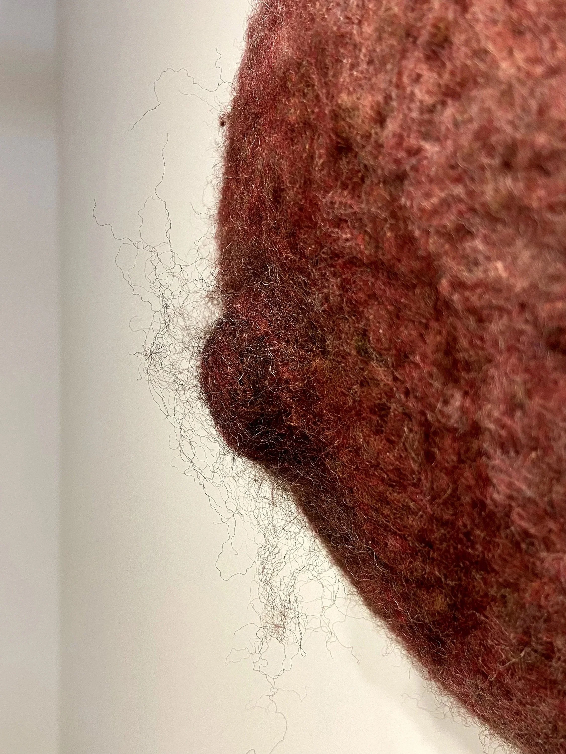 Needle felted art piece with red wool