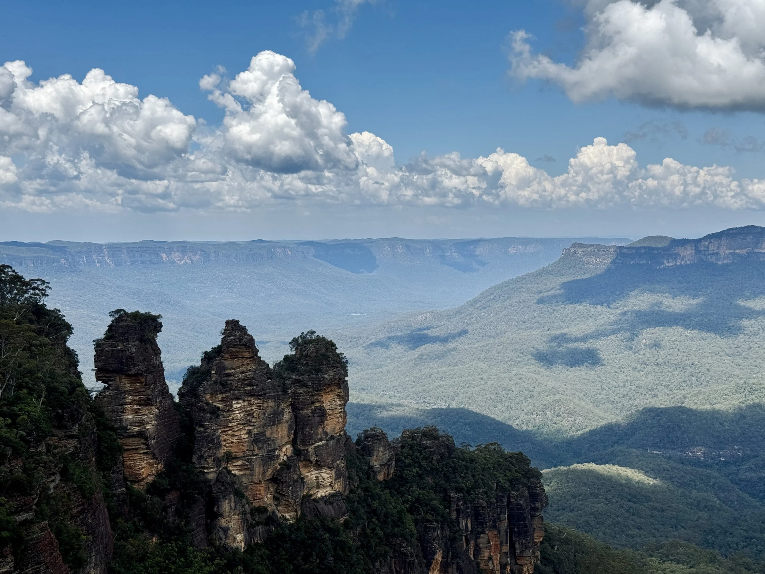 The Tree Sisters landscape near Sydney
