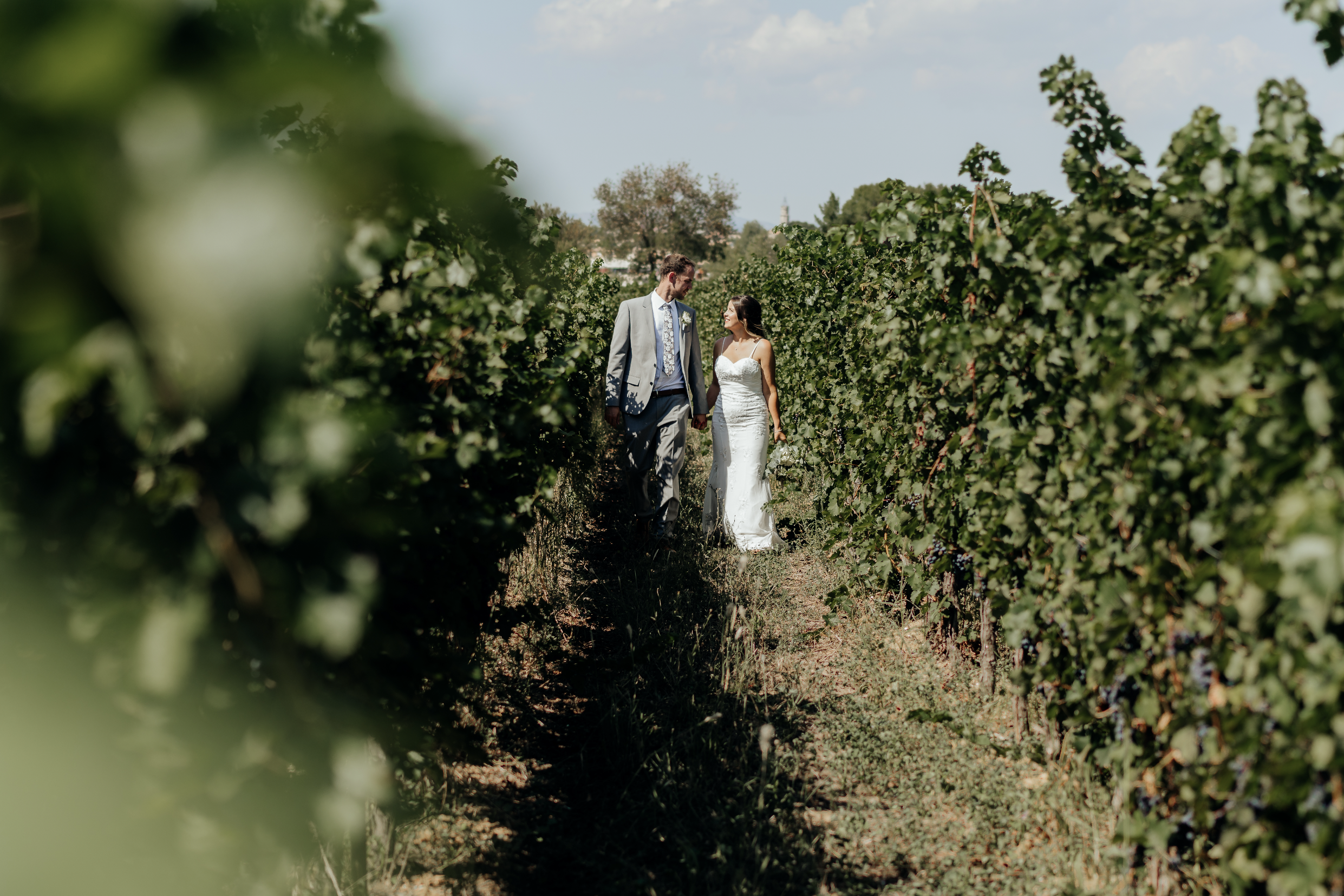 Marianne and Sharif walking though a vineyard at their wedding