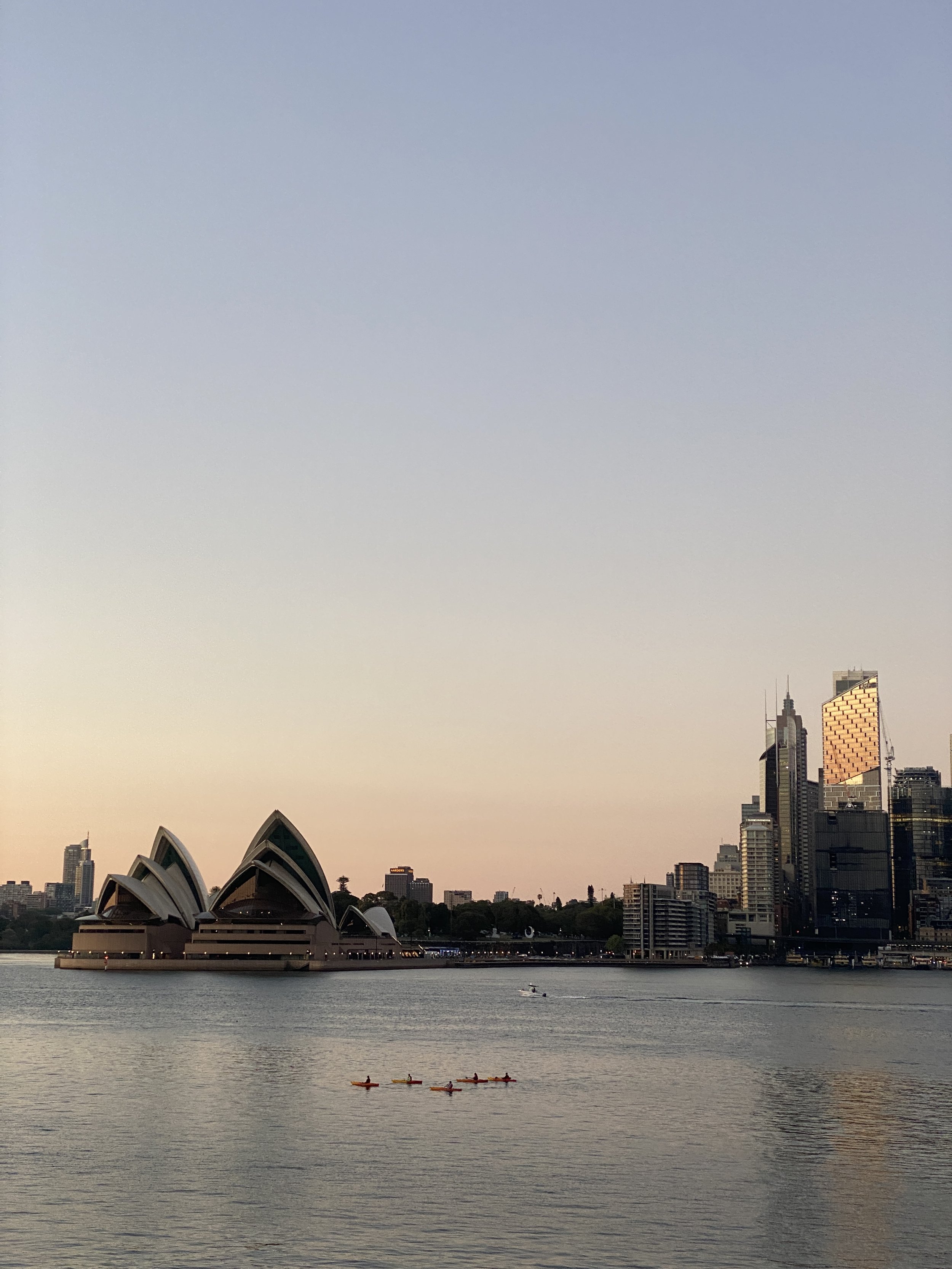Sydney landscape of the city at sunset