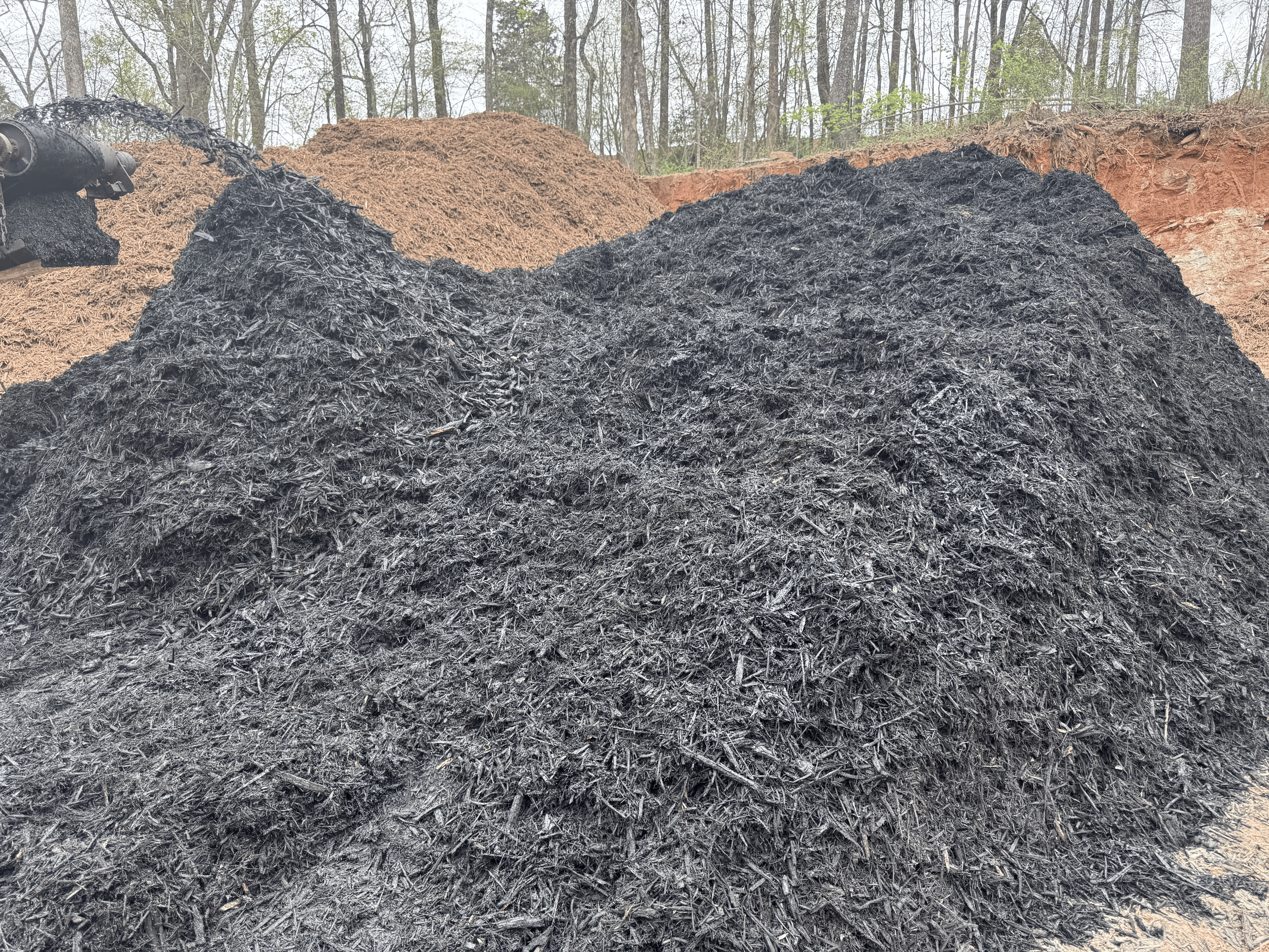 Piles of burning or charred wood or mulch outdoors, with trees in the background.