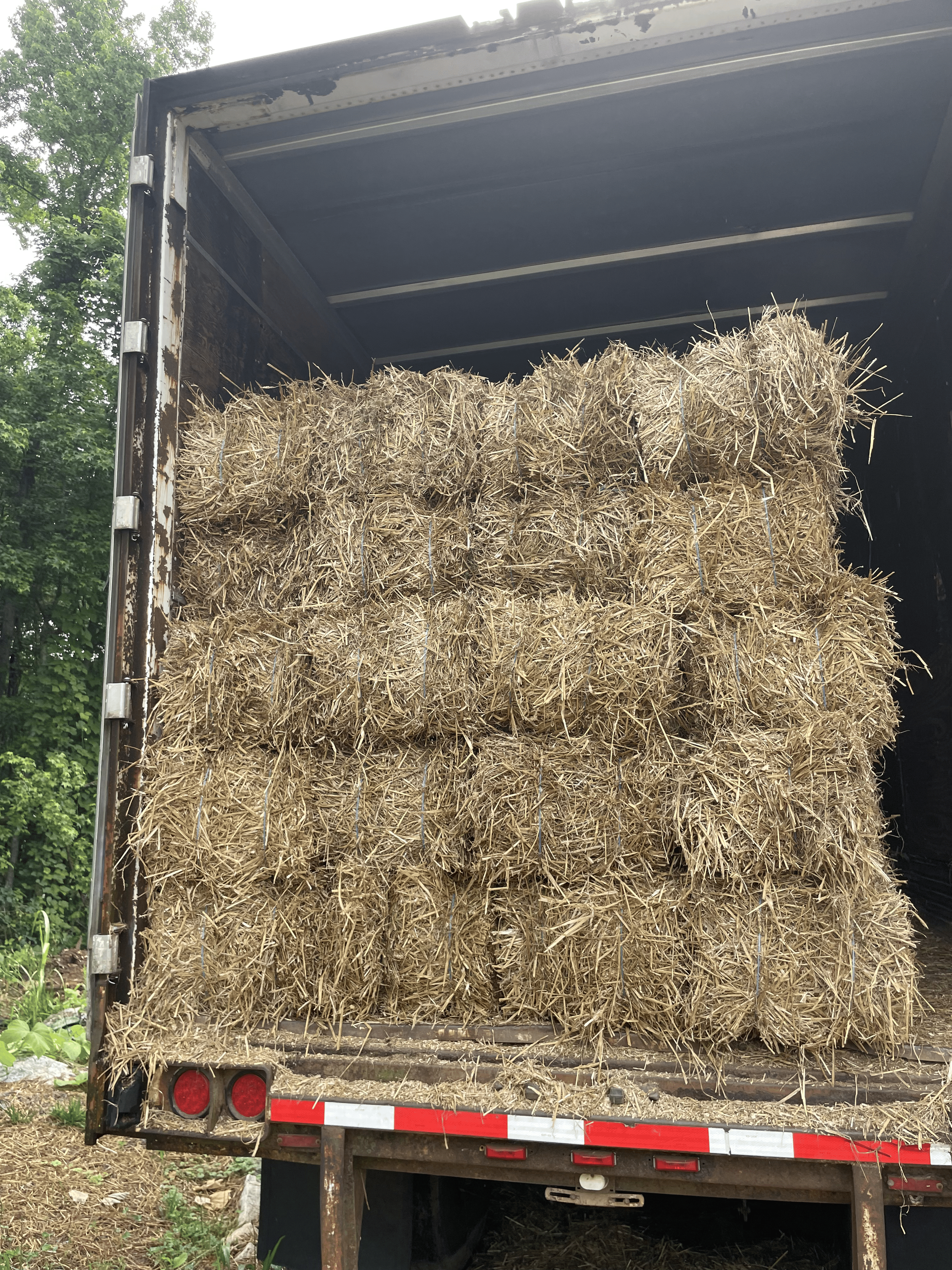 The back of a flatbed truck loaded with hay bales stacked in multiple layers, with greenery and trees in the background.