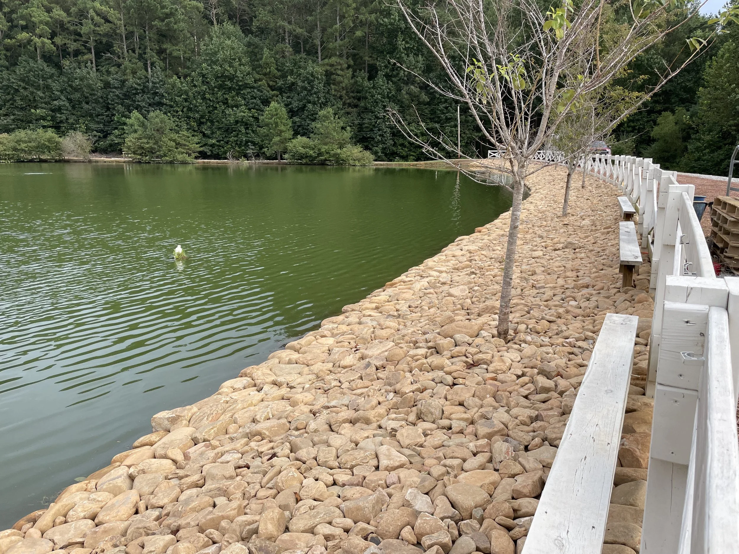 A lakeside scene with a rocky shoreline, bare trees, green water, and a wooded hillside in the background. There are benches and a white fence along the edge of the shore.