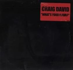 Craig David | What's Your Flava? (Single/Promo) | Vinyl Record 12-inch (USED)