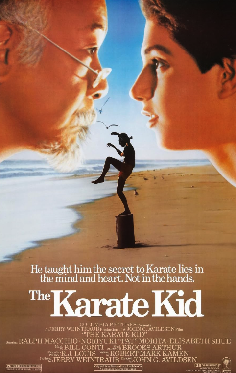 The Karate Kid | DVD (USED)