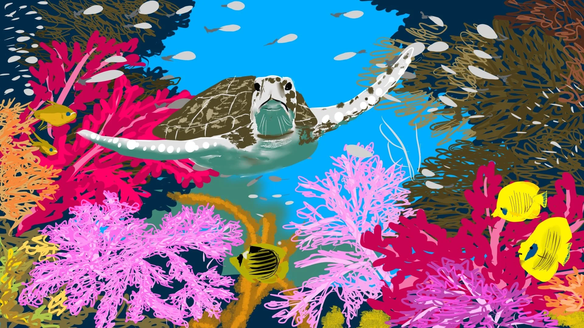 Coral Reef Turtle copy.jpg