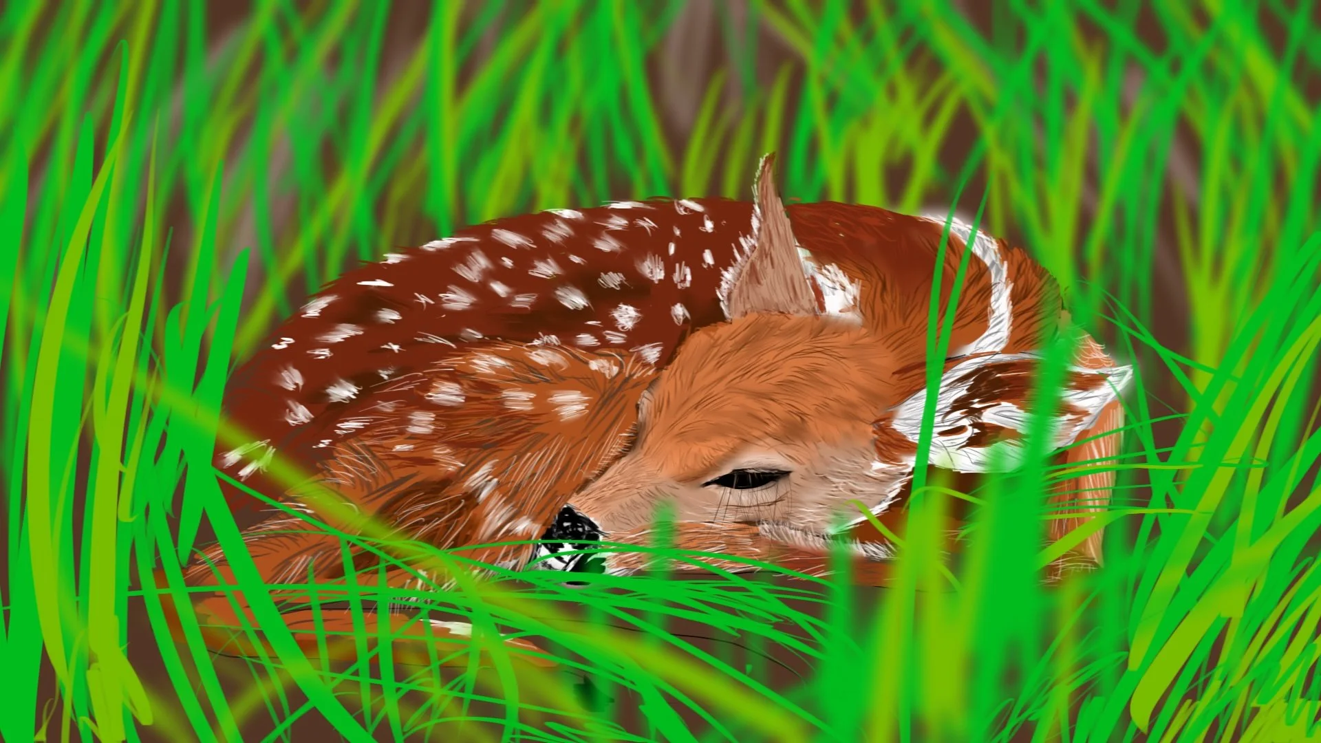 Newborn fawn copy.jpg