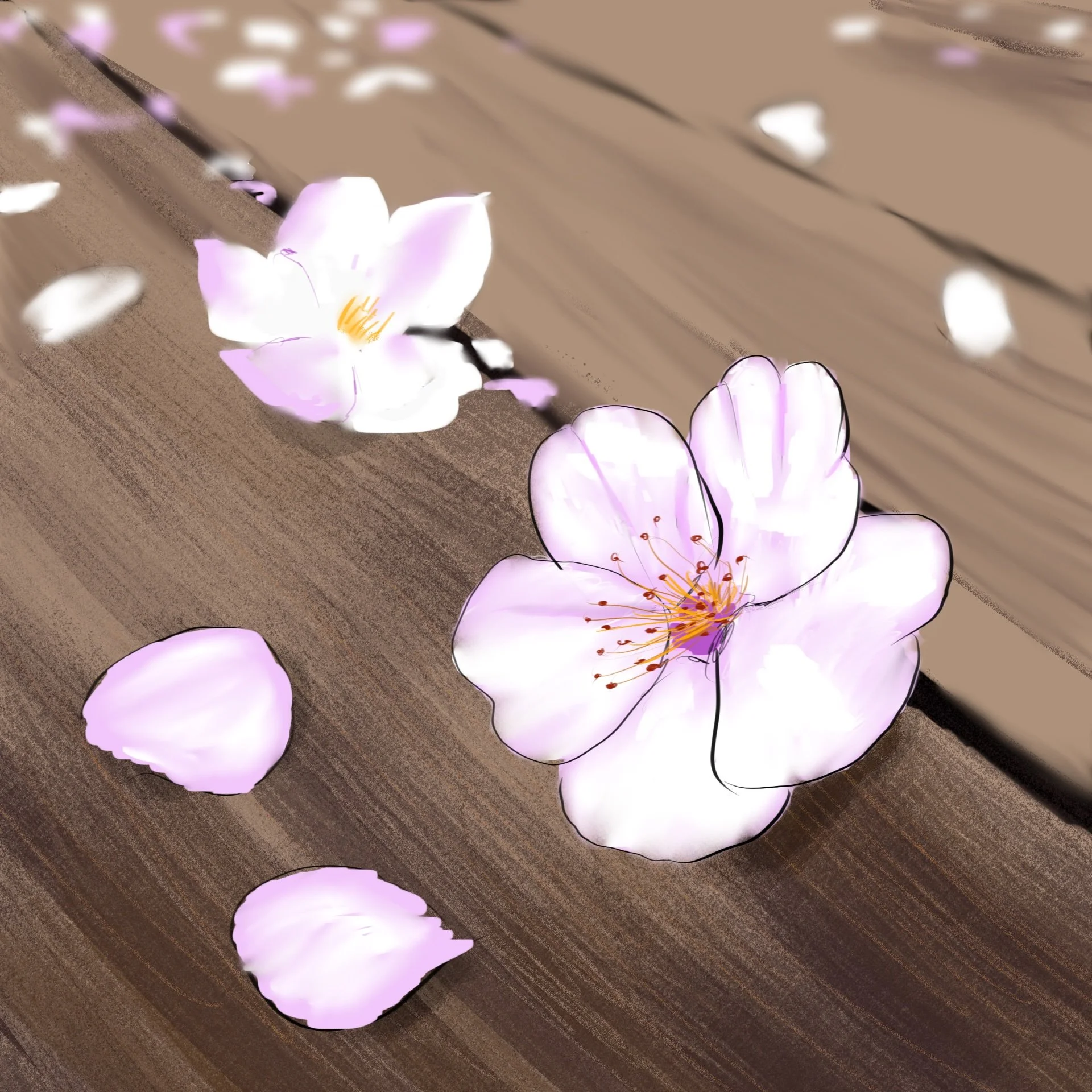Fallen cherry blossom copy.jpg