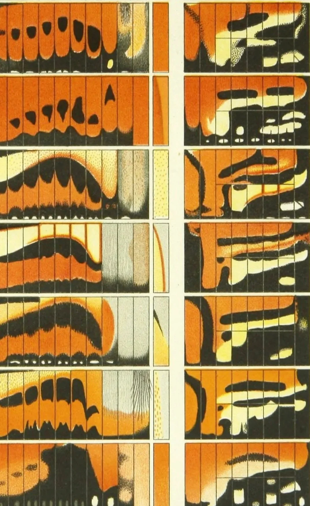 A mosaic of orange and black painted tiles representing butterfly wing patterns.