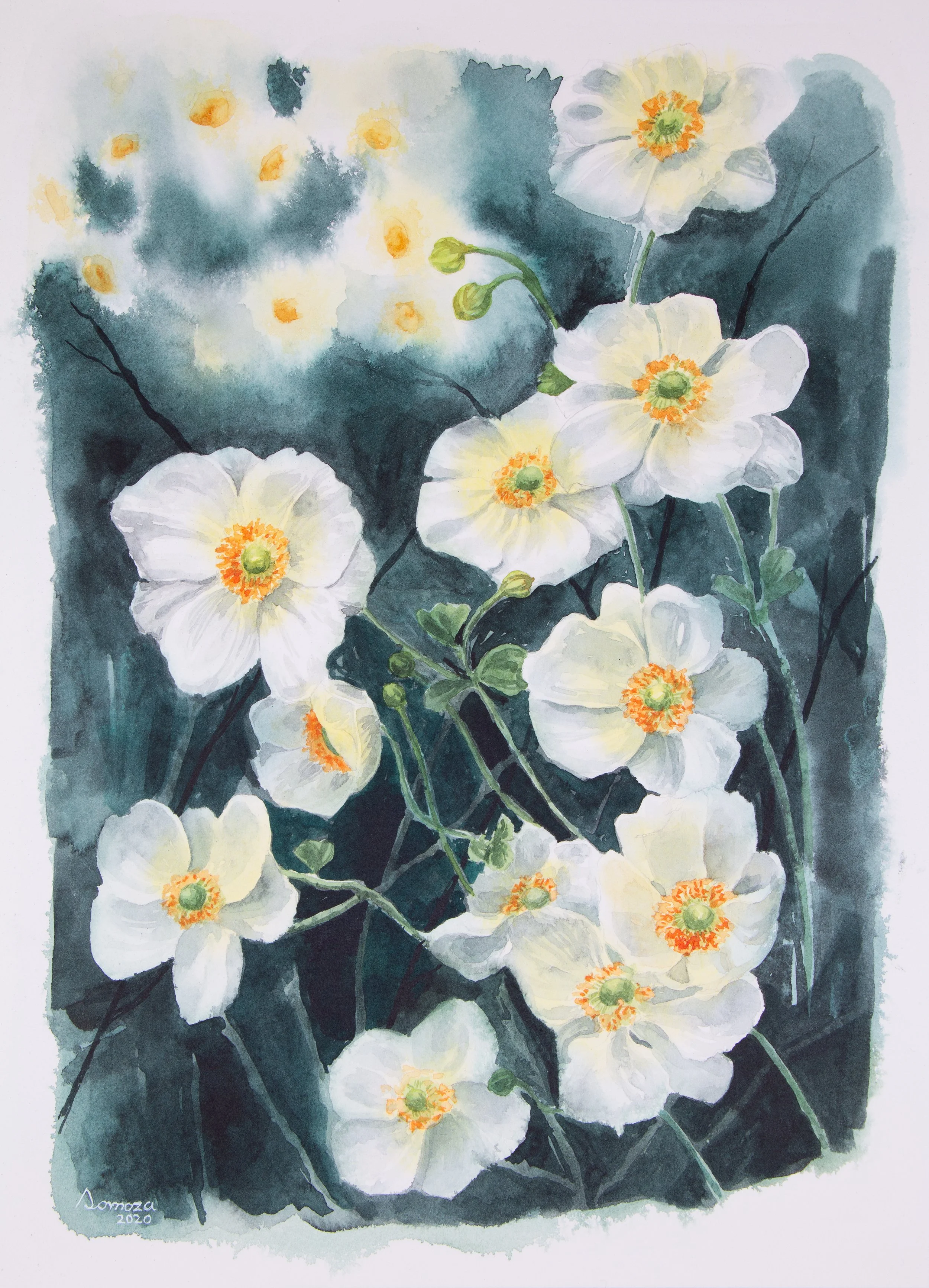 アネモネ (Anemone) | Watercolor on paper | 23 x 31 cm | 2020