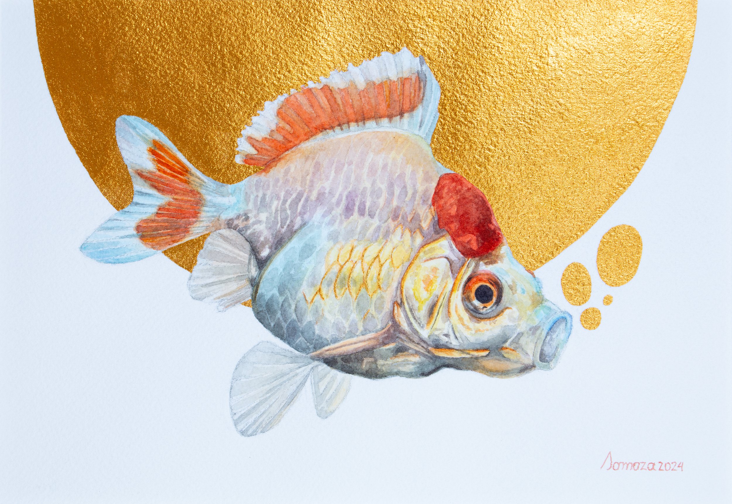 金魚 (Kingyo) | Watercolor on paper | 15.8 x 22.7 cm (SM) | 2024