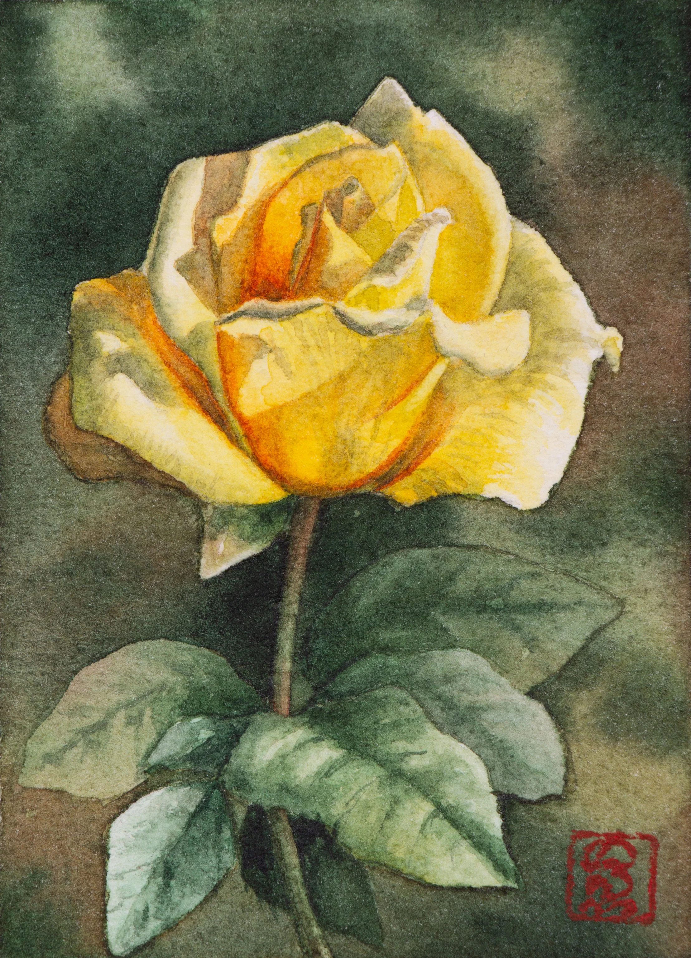 Yellow rose | Watercolor on paper | 8.8 x 6.3 cm (ACEO) | 2026