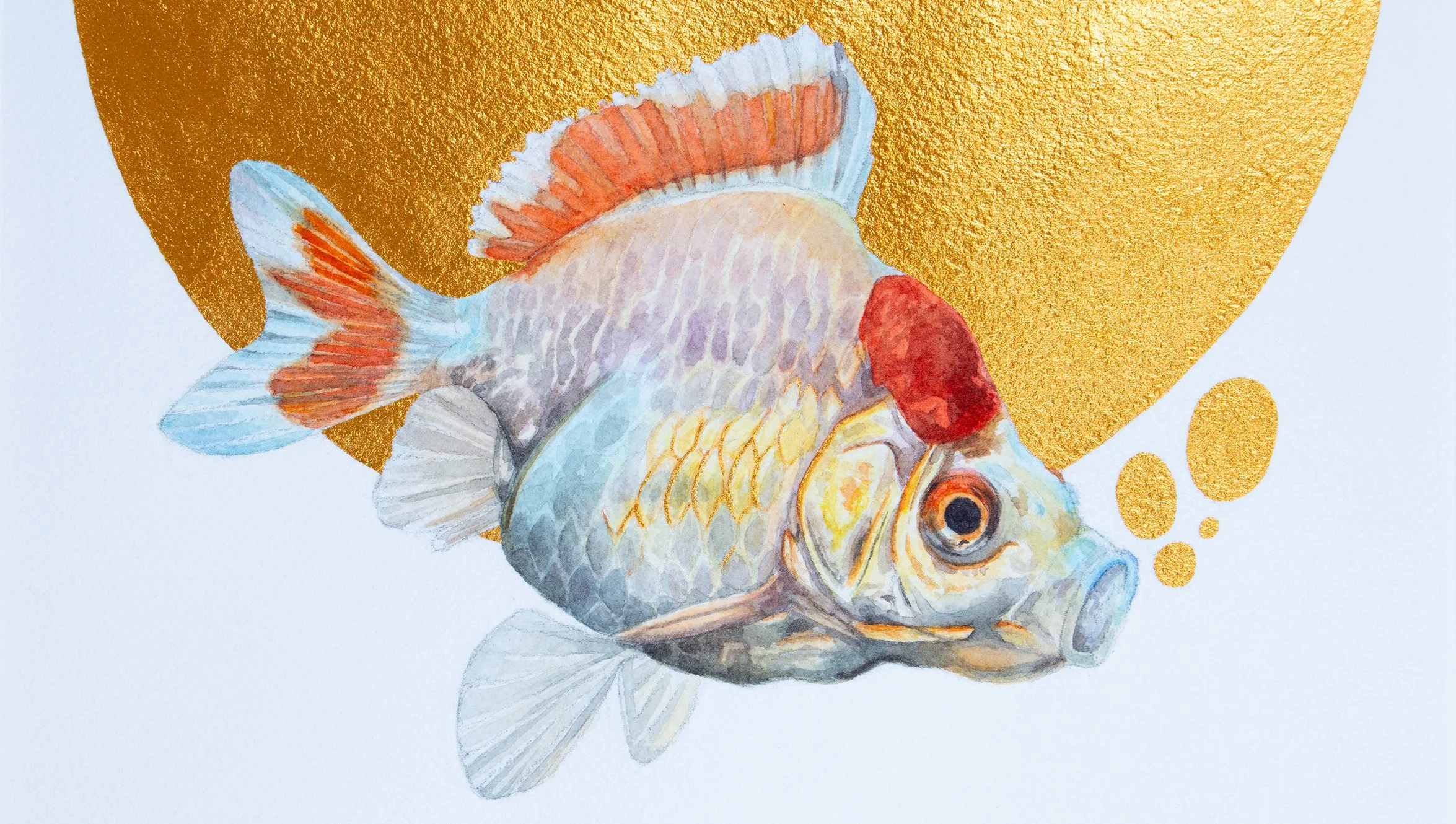 Watercolor painting of a fish with orange, red, yellow, and blue colors, set against a gold background.